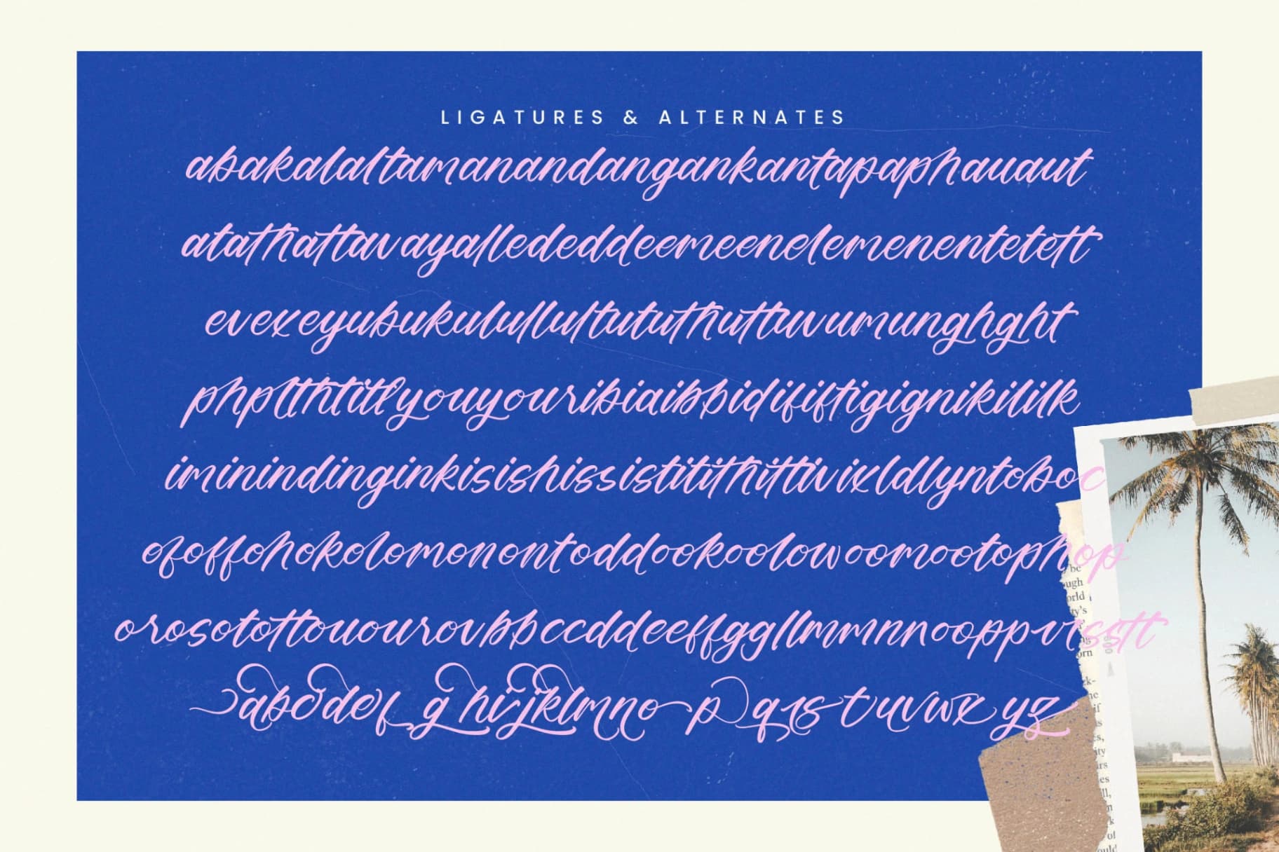 Preview 14 for Delighta - Modern Handwritten Font