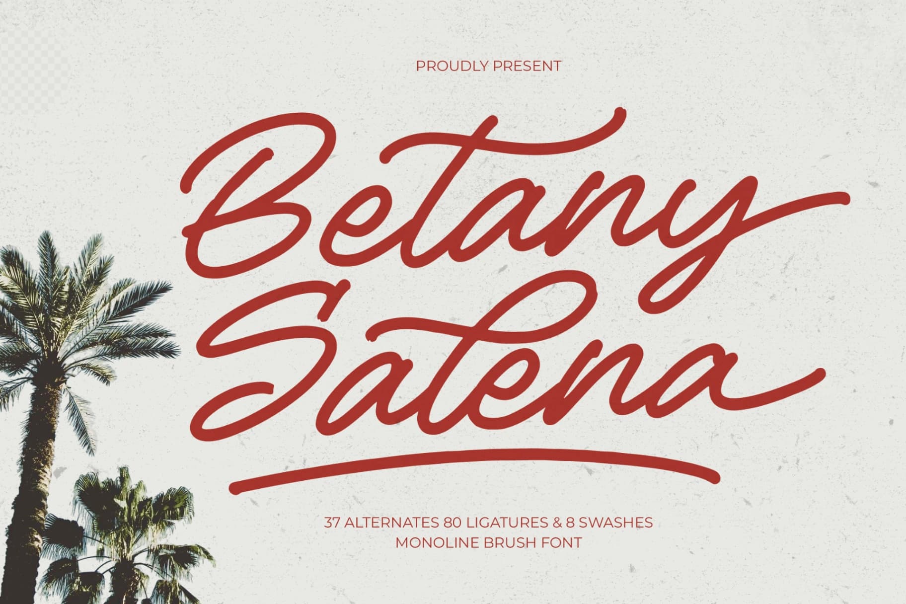 Preview of Betany Salena - Monoline Brush Font font