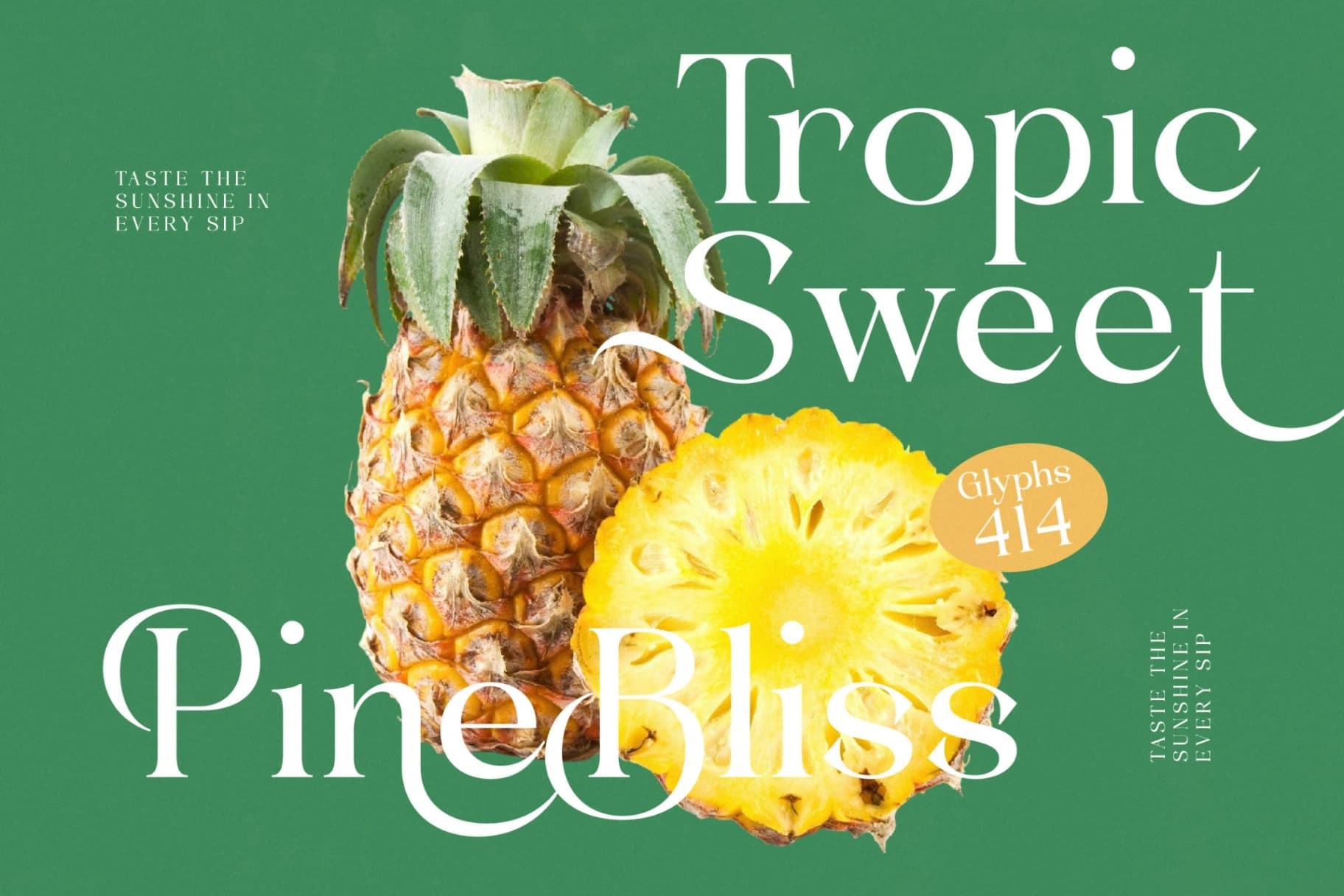 Preview 12 for Blush Honey - Modern Alternate Serif Font