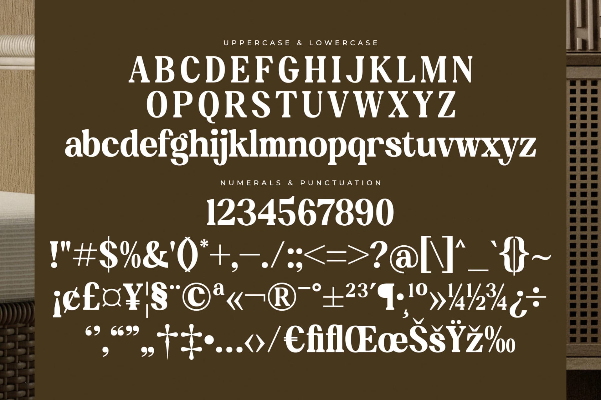 Preview 13 for Braden - Modern Serif Font