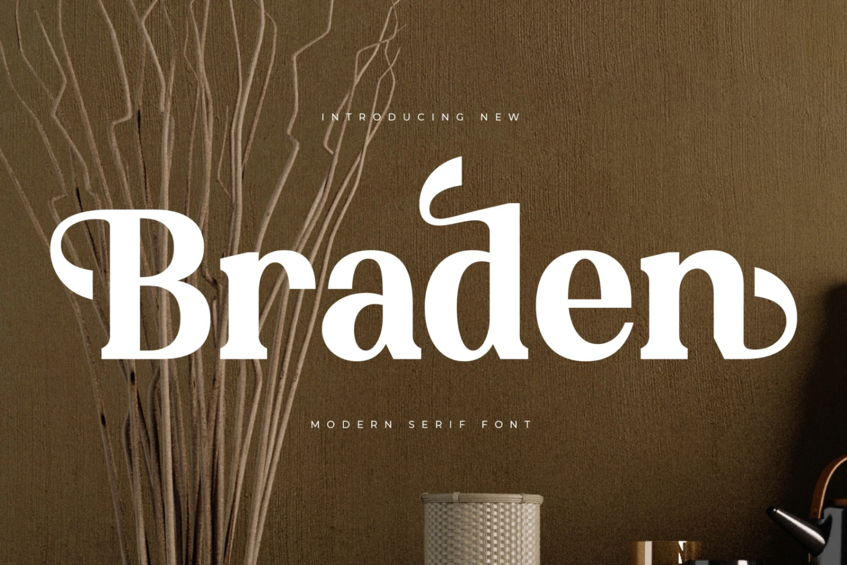 Preview of Braden - Modern Serif Font font