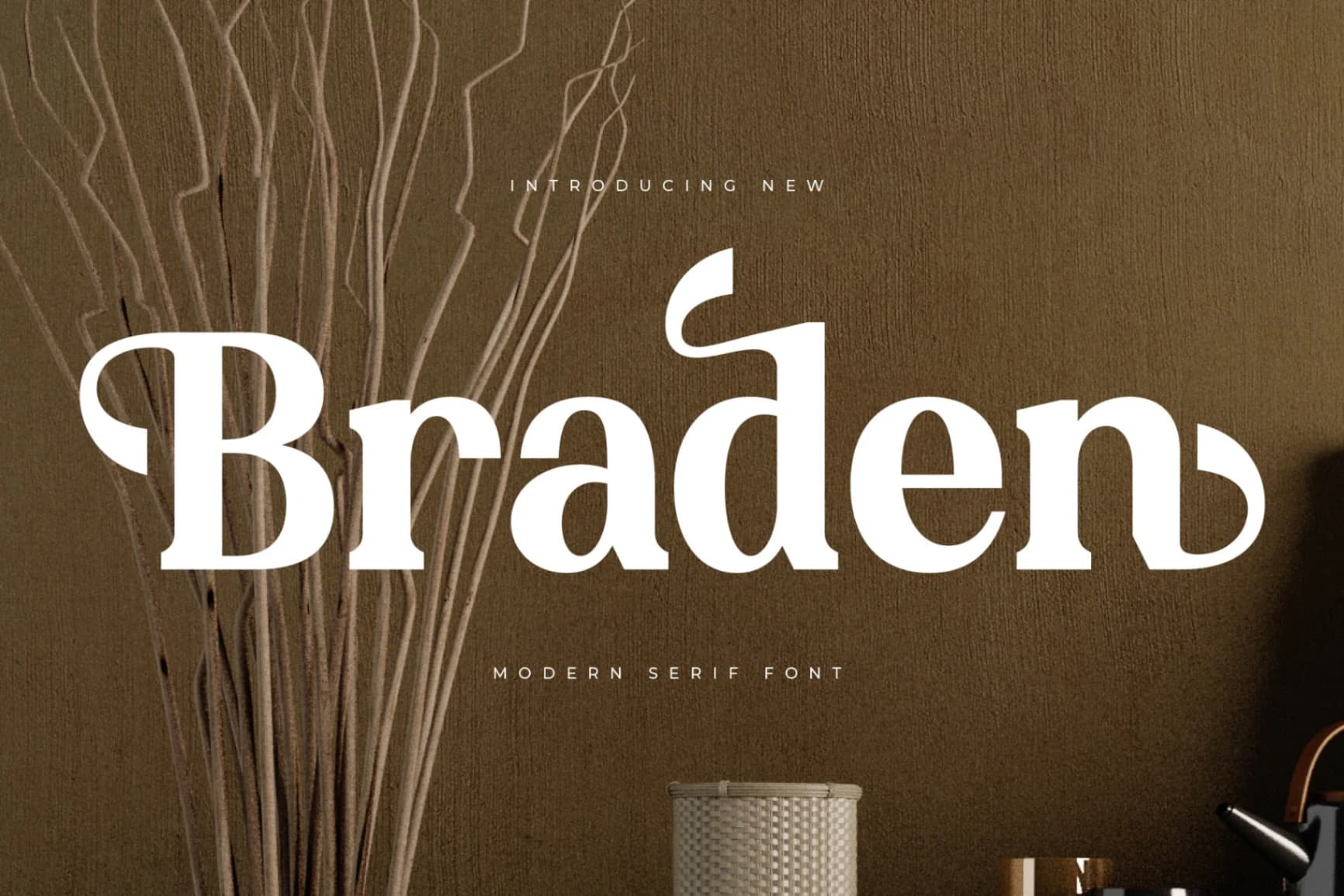Preview of Braden - Modern Serif Font font