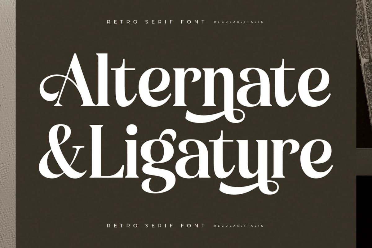 Miguales - Modern Alternate Serif font preview 8