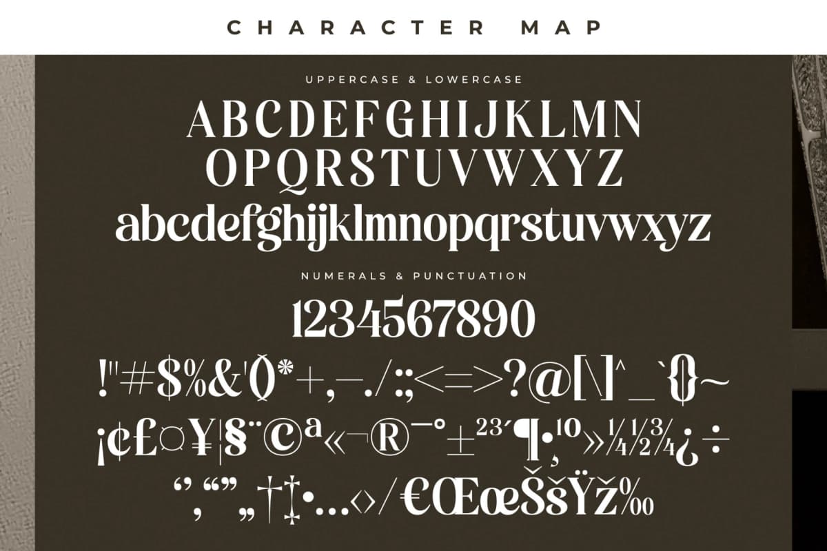 Preview 13 for Miguales - Modern Alternate Serif