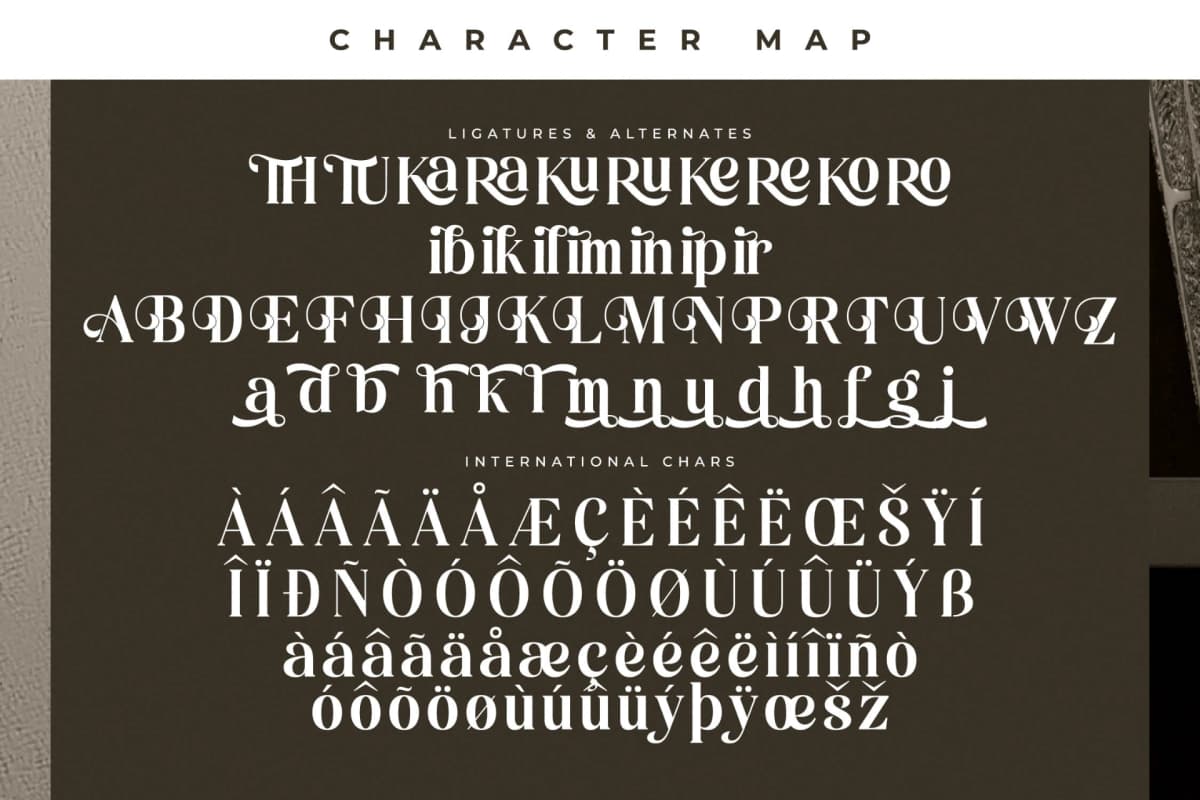 Miguales - Modern Alternate Serif font preview 14
