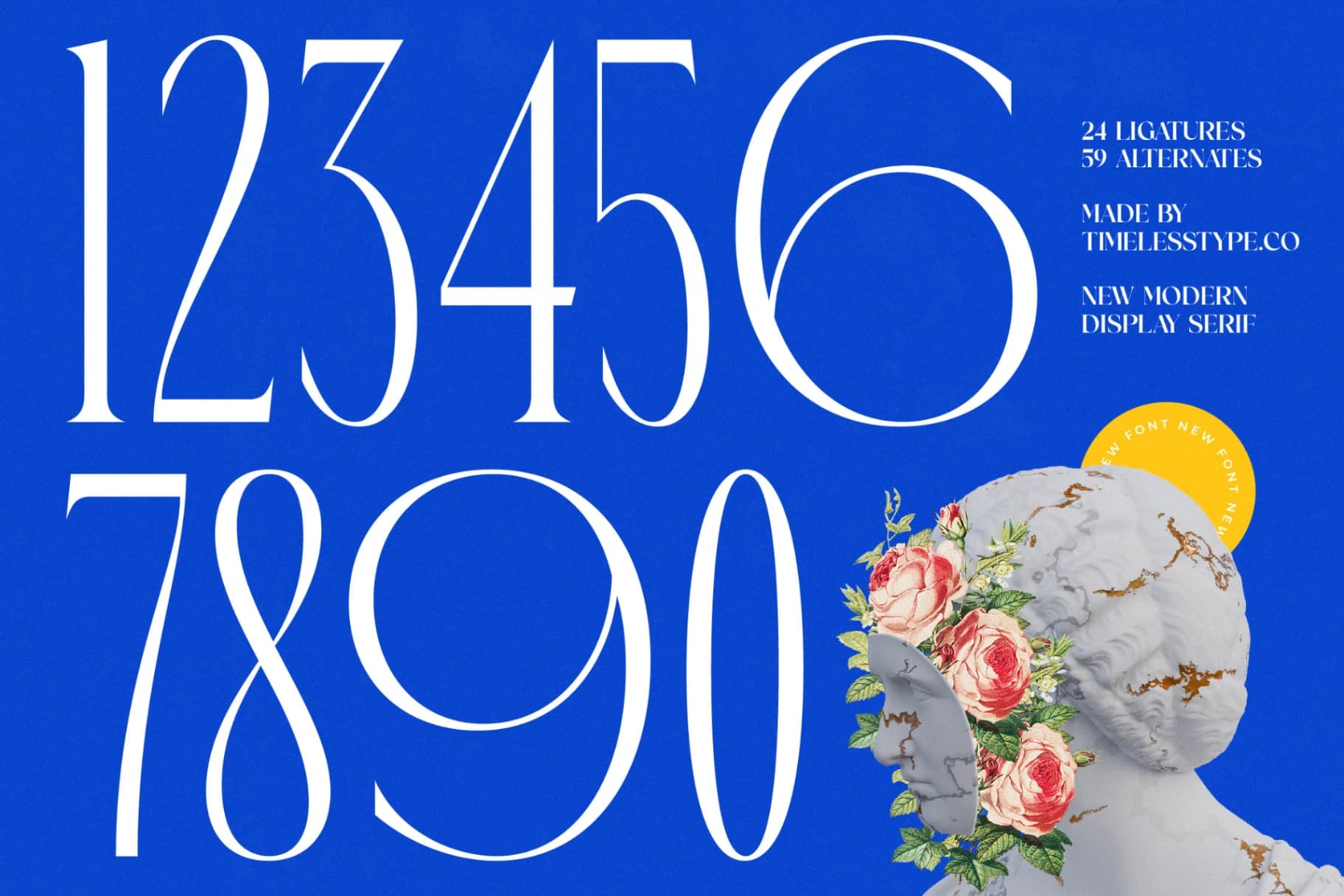 Preview 13 for Emblora - Modern Display Serif