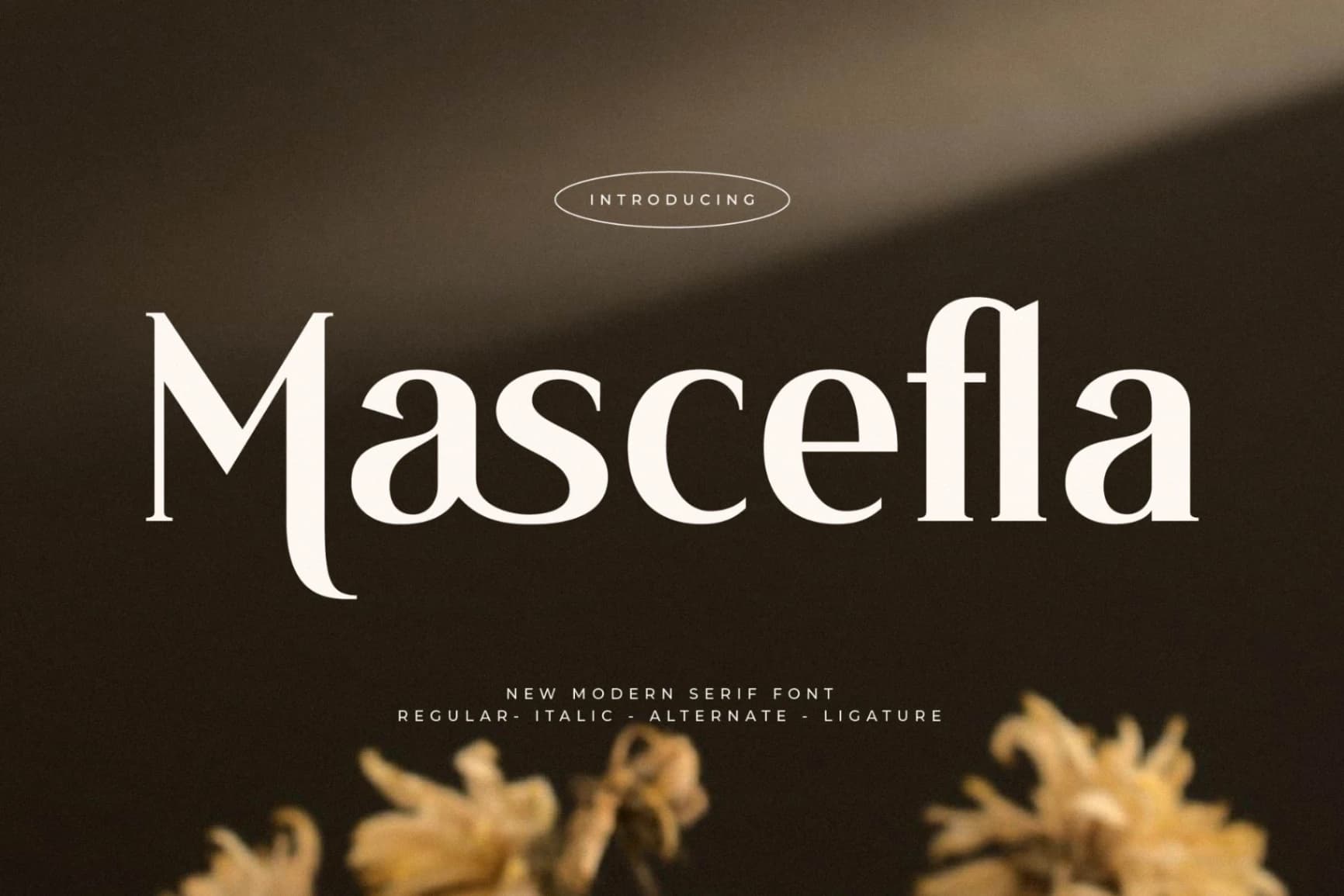 Preview 1 for Mascefla – New Modern Serif Font
