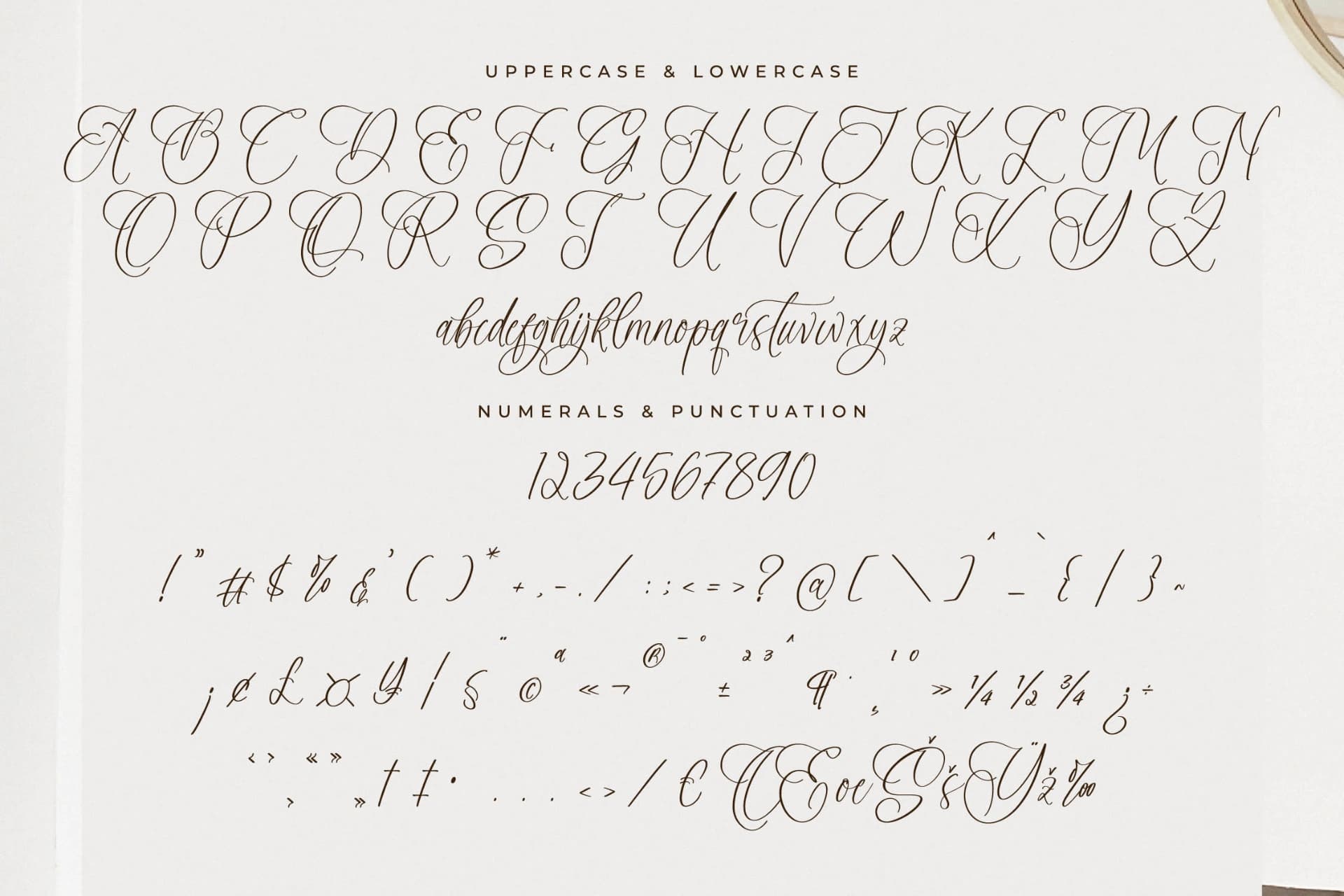 Preview 13 for Adofellins Barlinestya – Beauty Modern Script
