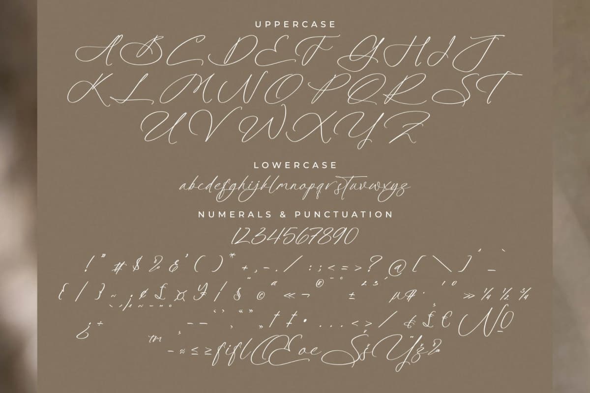 Platimye – Stylish Signature Font font preview 13