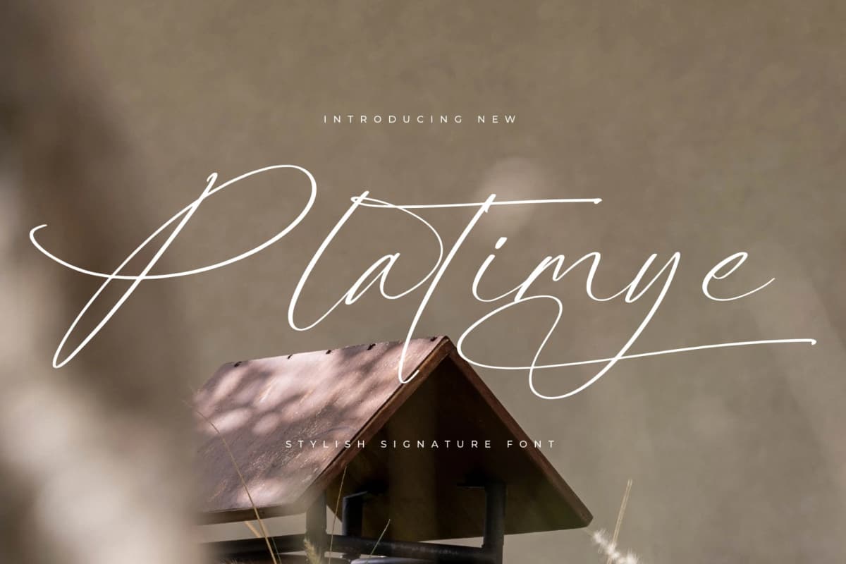Preview of Platimye – Stylish Signature Font font