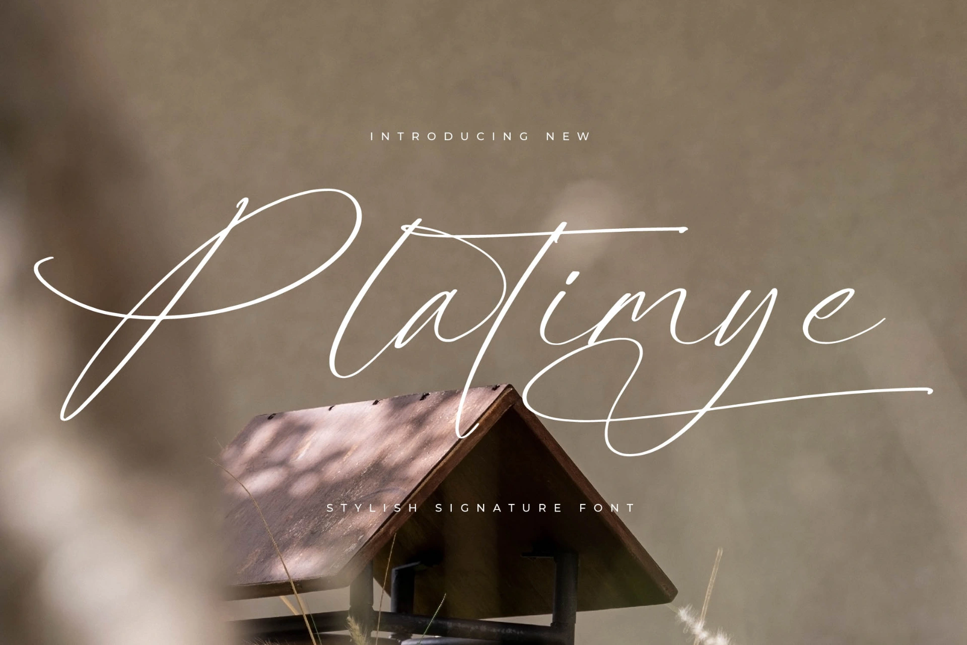 Preview of Platimye – Stylish Signature Font font