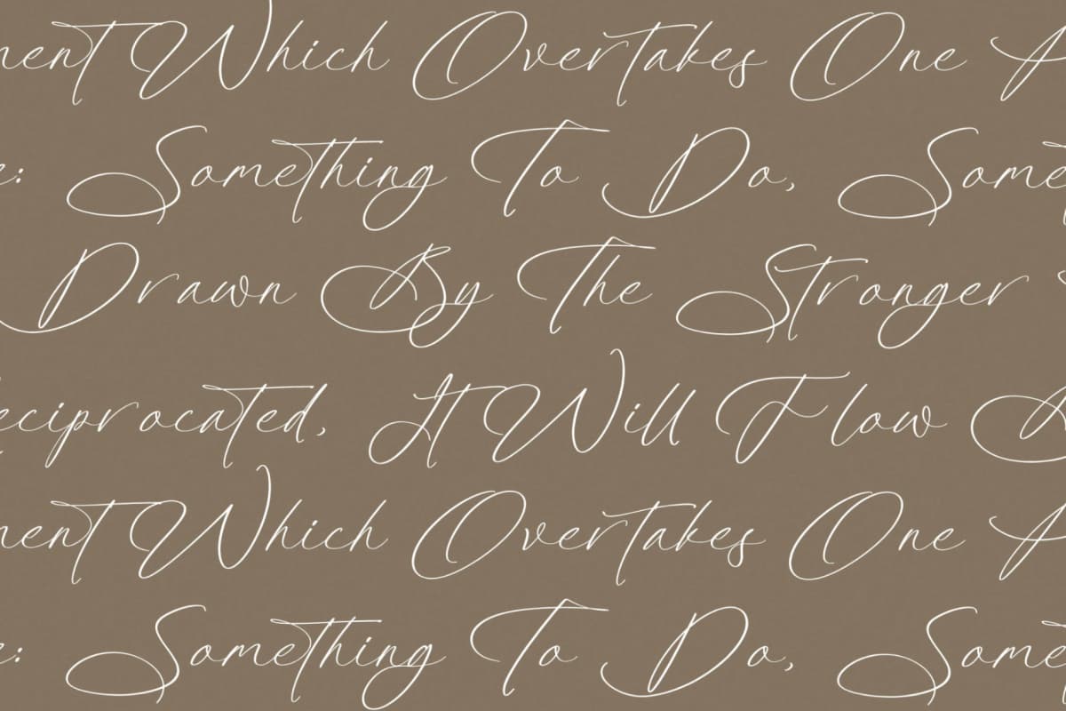 Platimye – Stylish Signature Font font preview 9