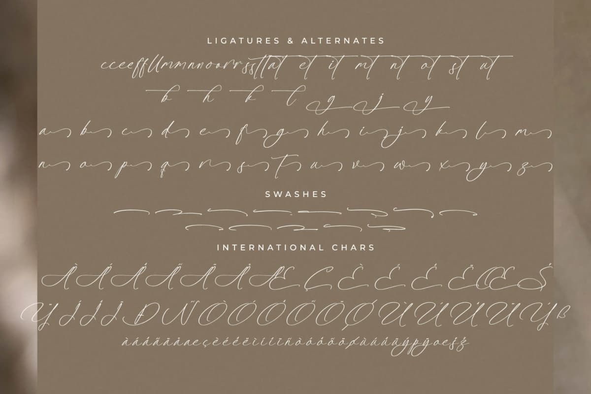 Platimye – Stylish Signature Font font preview 14