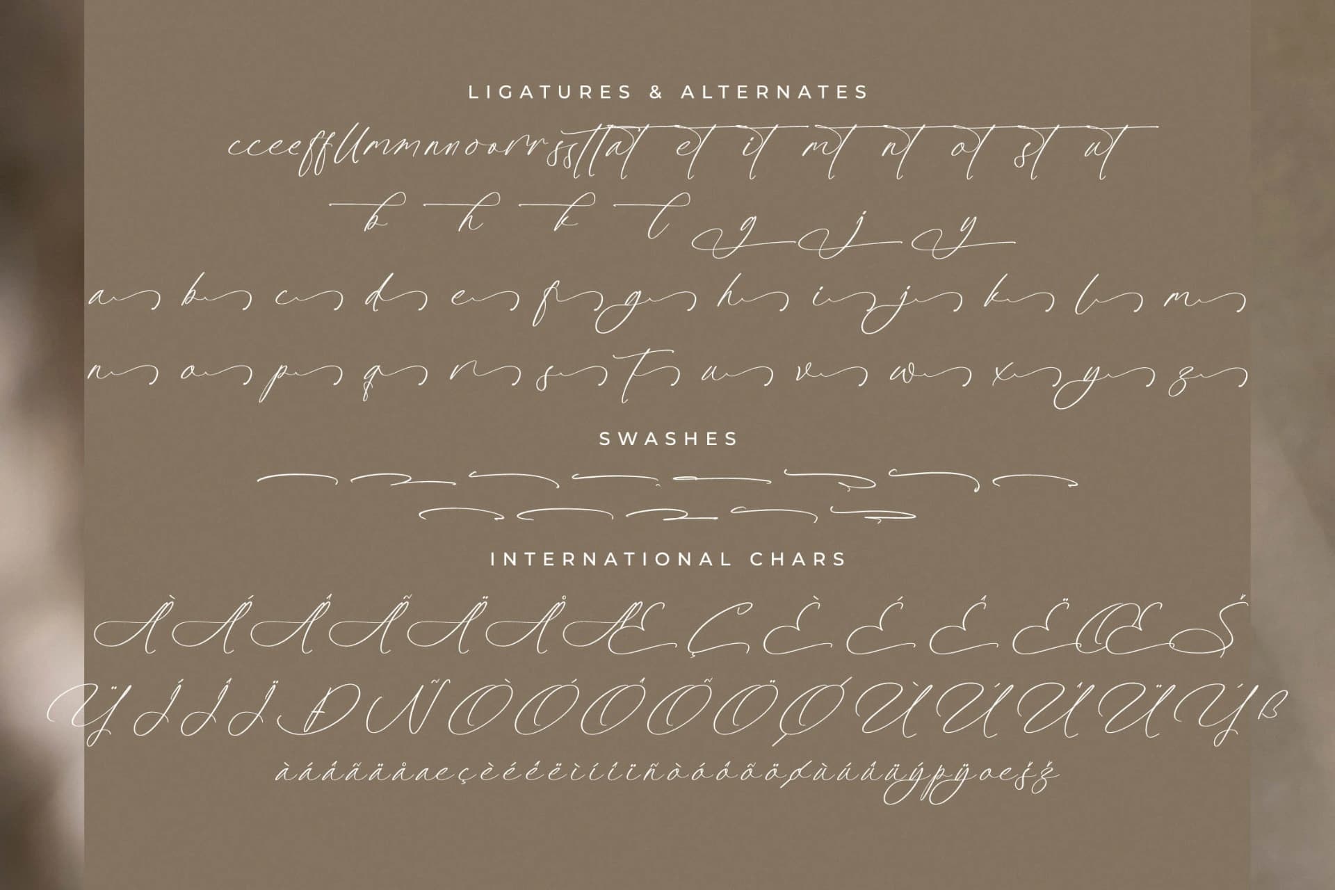Preview 14 for Platimye – Stylish Signature Font