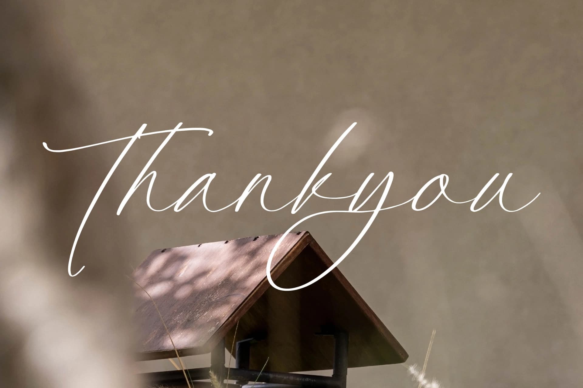 Preview 15 for Platimye – Stylish Signature Font
