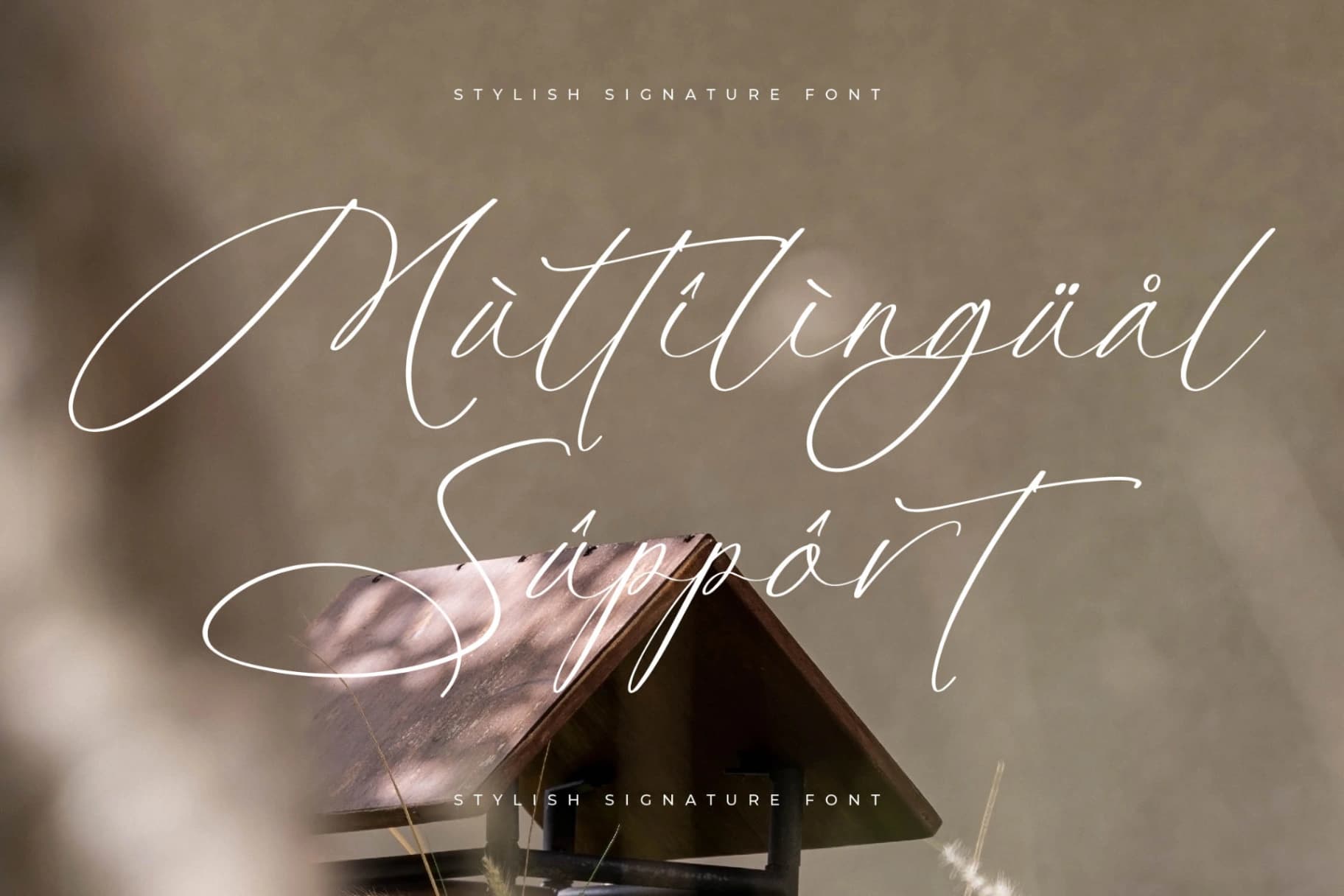 Preview 12 for Platimye – Stylish Signature Font