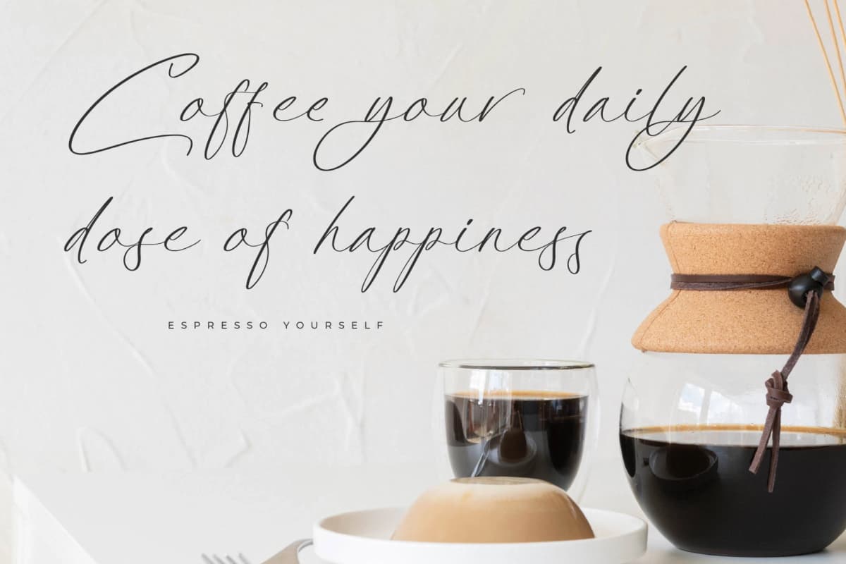 Platimye – Stylish Signature Font font preview 8