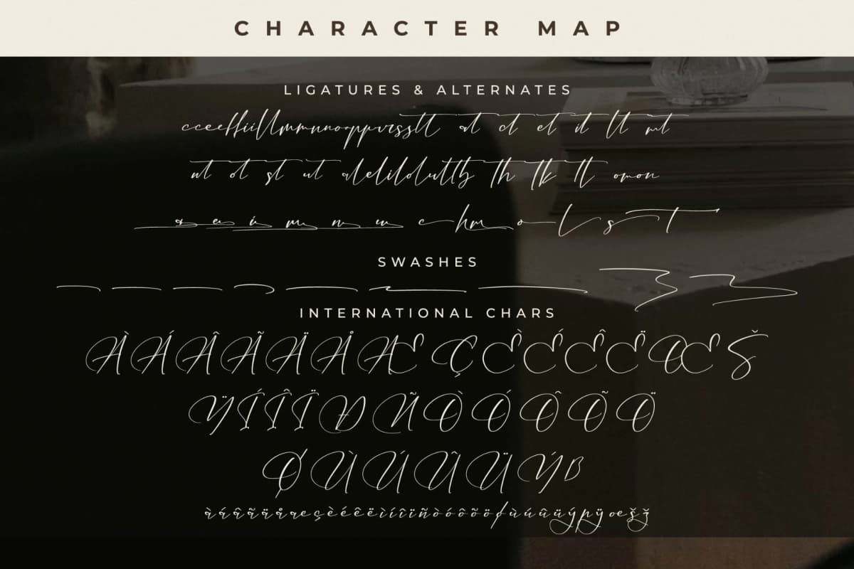 Preview 14 for Gomethina – Modern Calligraphy Font