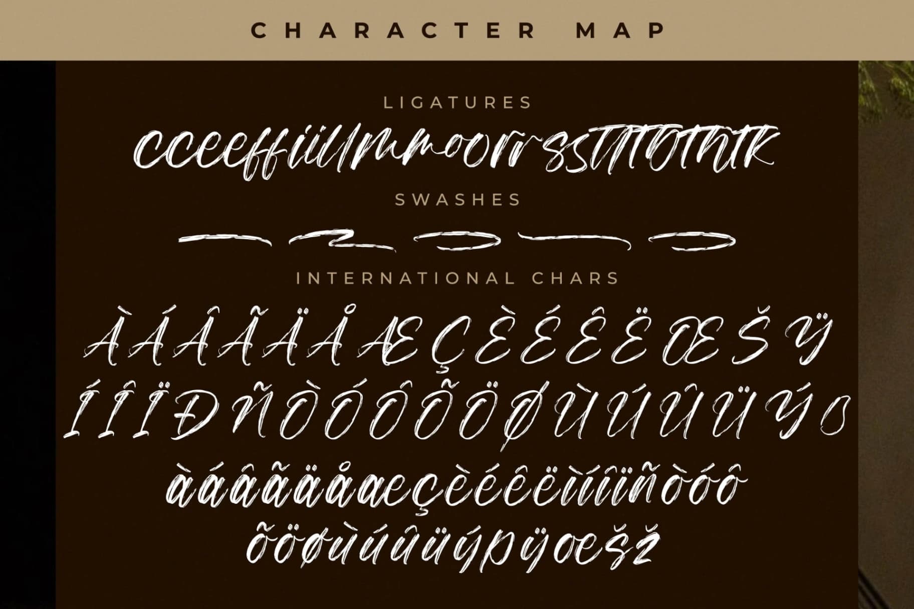 Preview 14 for Anthony Dominate – Modern Handbrush Font