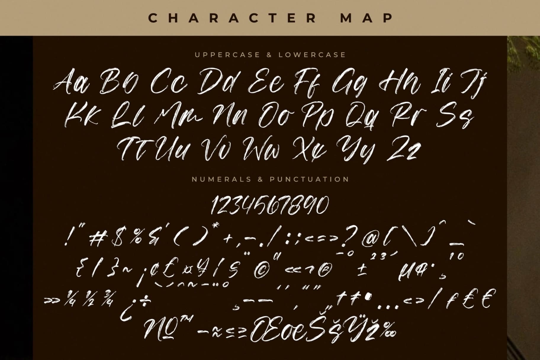Preview 13 for Anthony Dominate – Modern Handbrush Font