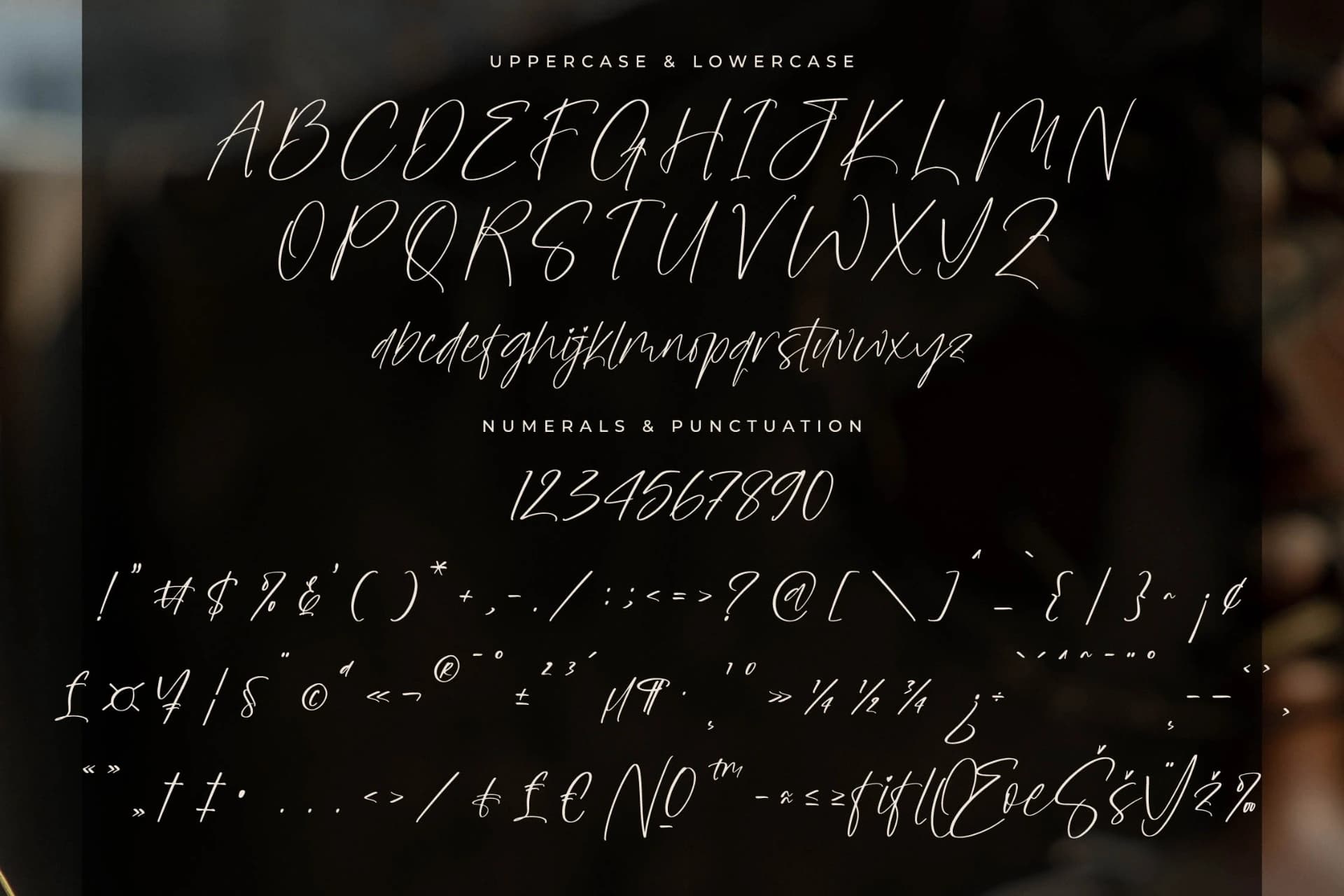 Preview 13 for Sanetury Grethan – Elegant Modern Script