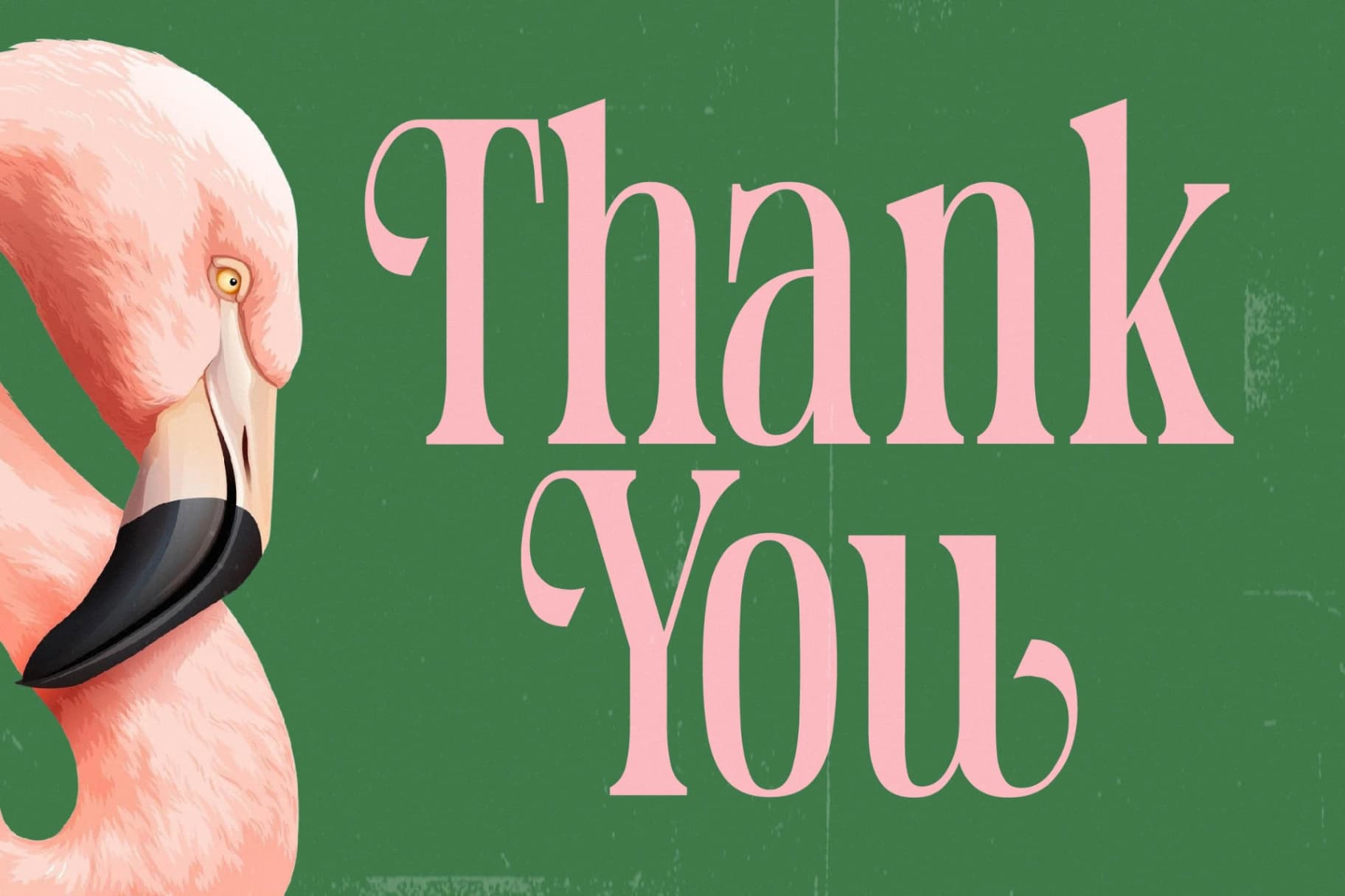 Preview 15 for Holiday Foreste - Modern Serif Font