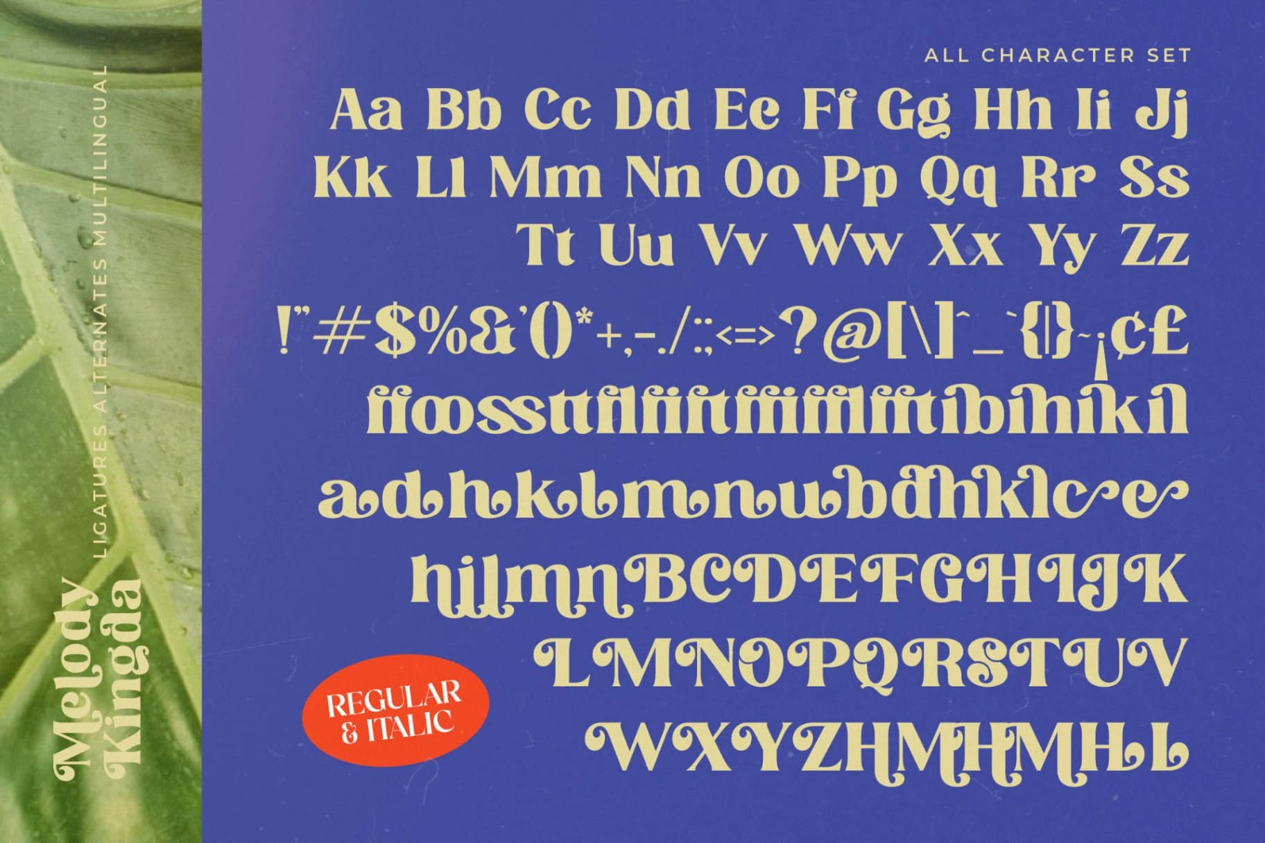 Preview 14 for Melody Kingda - New Modern Serif Font