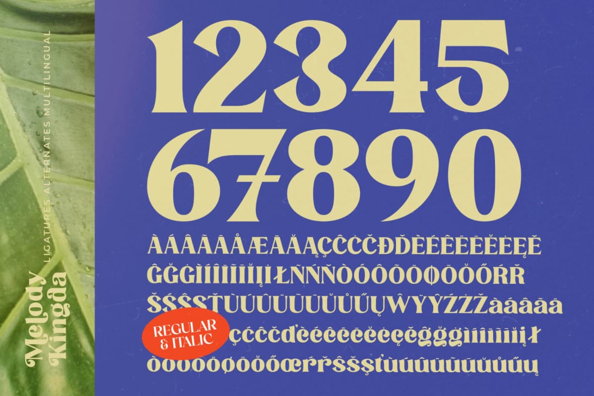 Melody Kingda - New Modern Serif Font font preview 13