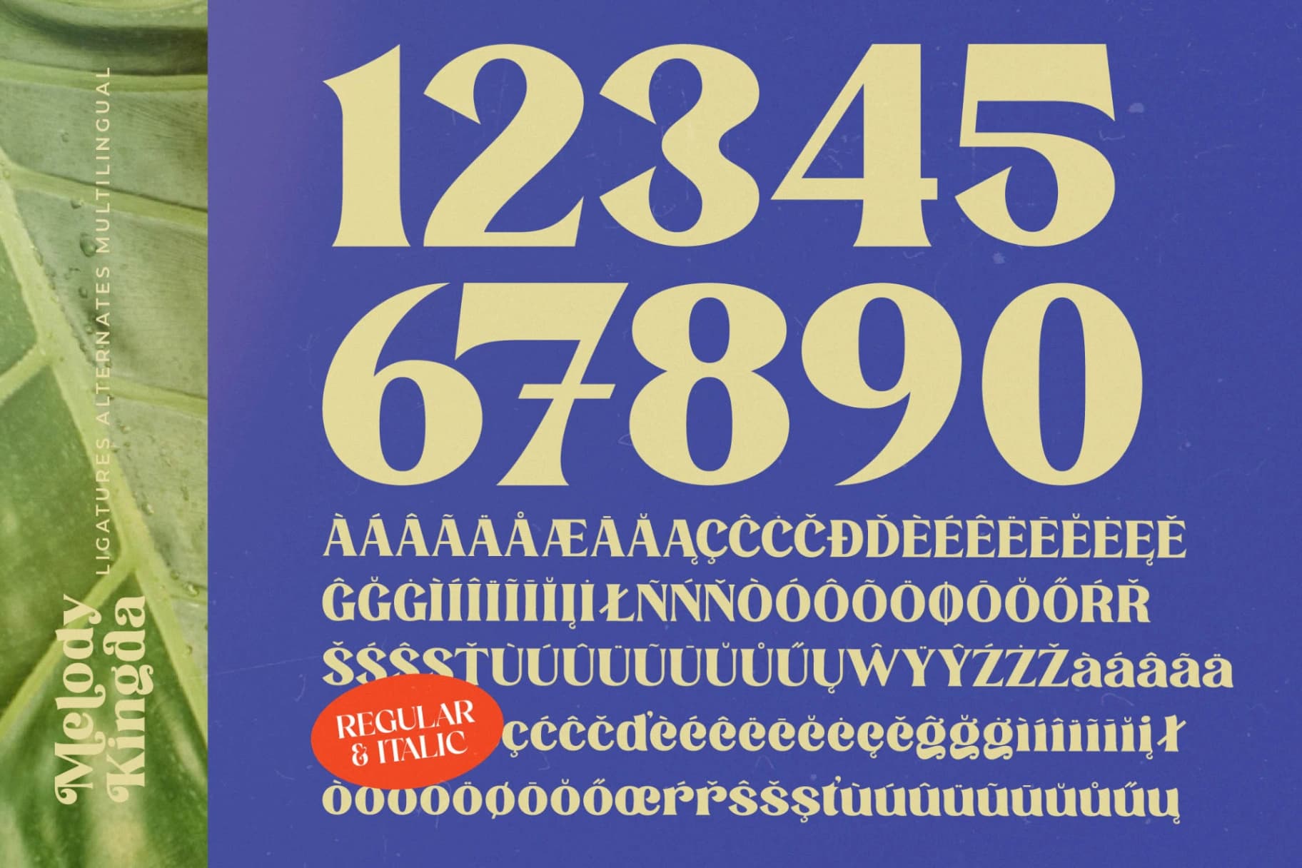 Preview 13 for Melody Kingda - New Modern Serif Font