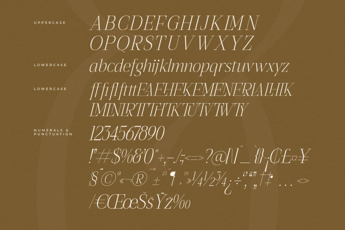 Preview 14 for Seraphine – Modern Font Serif
