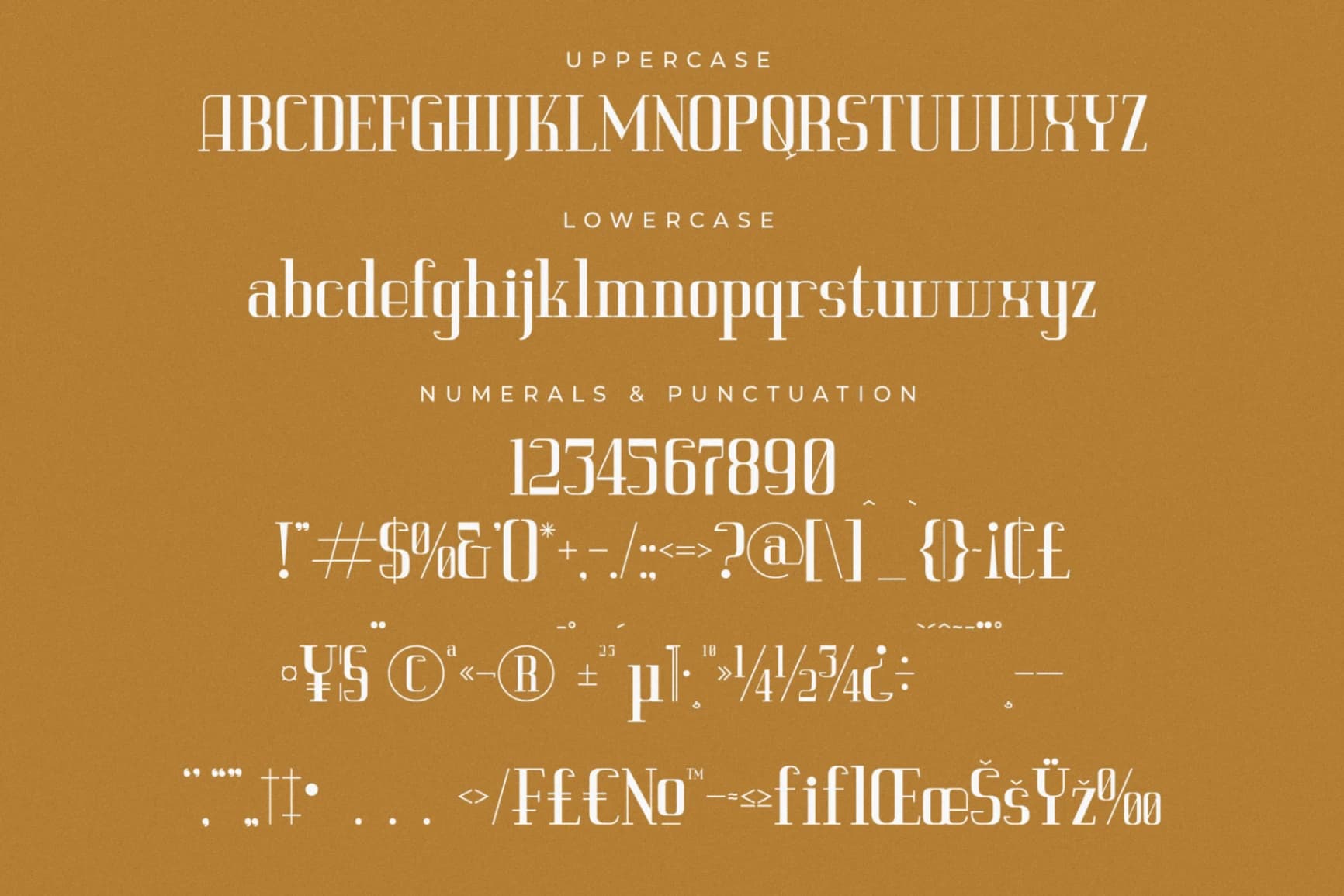 Preview 13 for Vittorika – Modern Serif Font