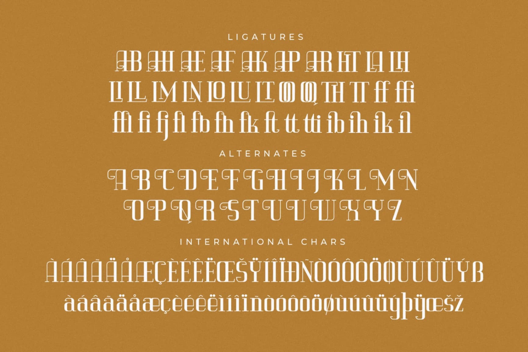 Preview 14 for Vittorika – Modern Serif Font
