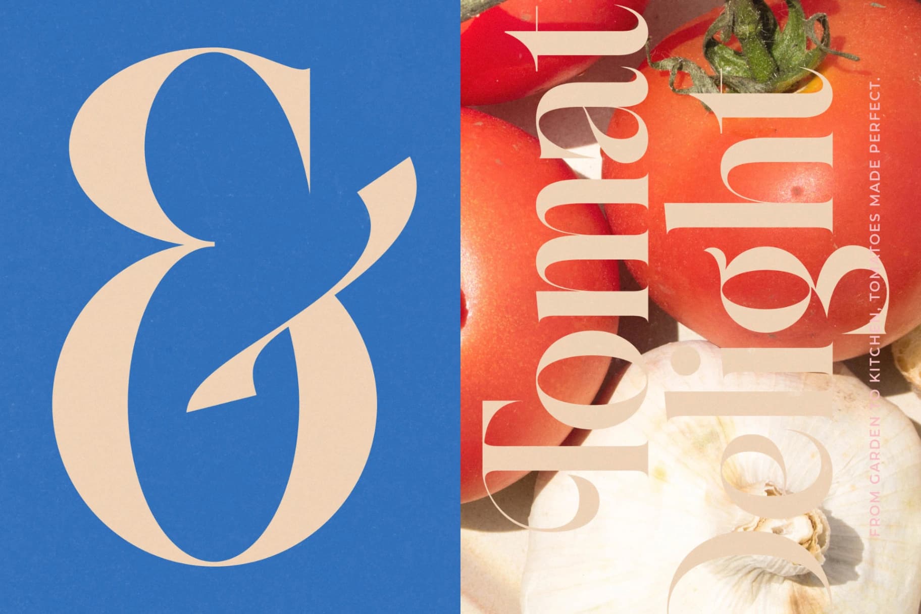 Preview 11 for Galactic Knights - Modern Serif Font
