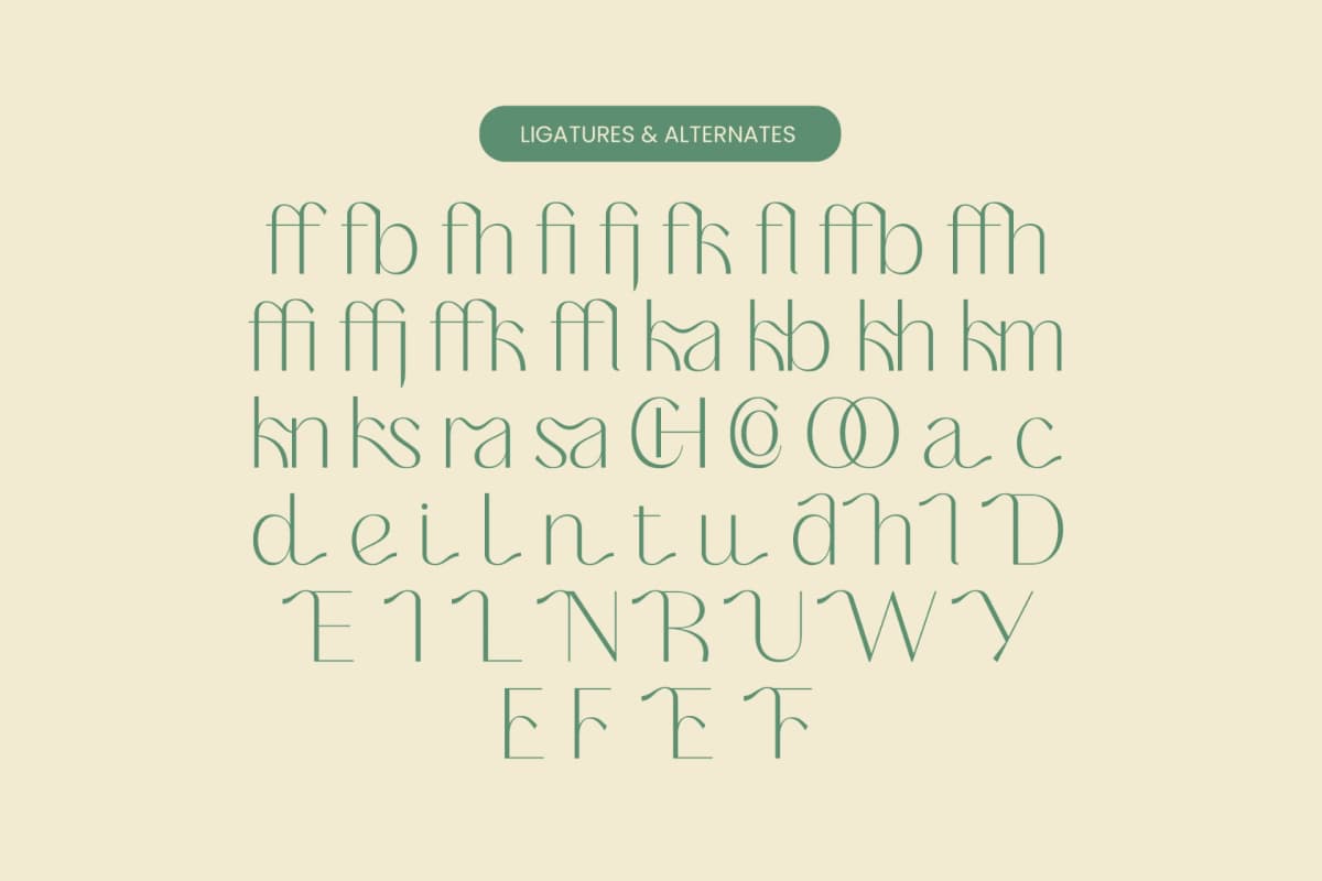 Adisan Richard - Elegant Sans Serif font preview 13