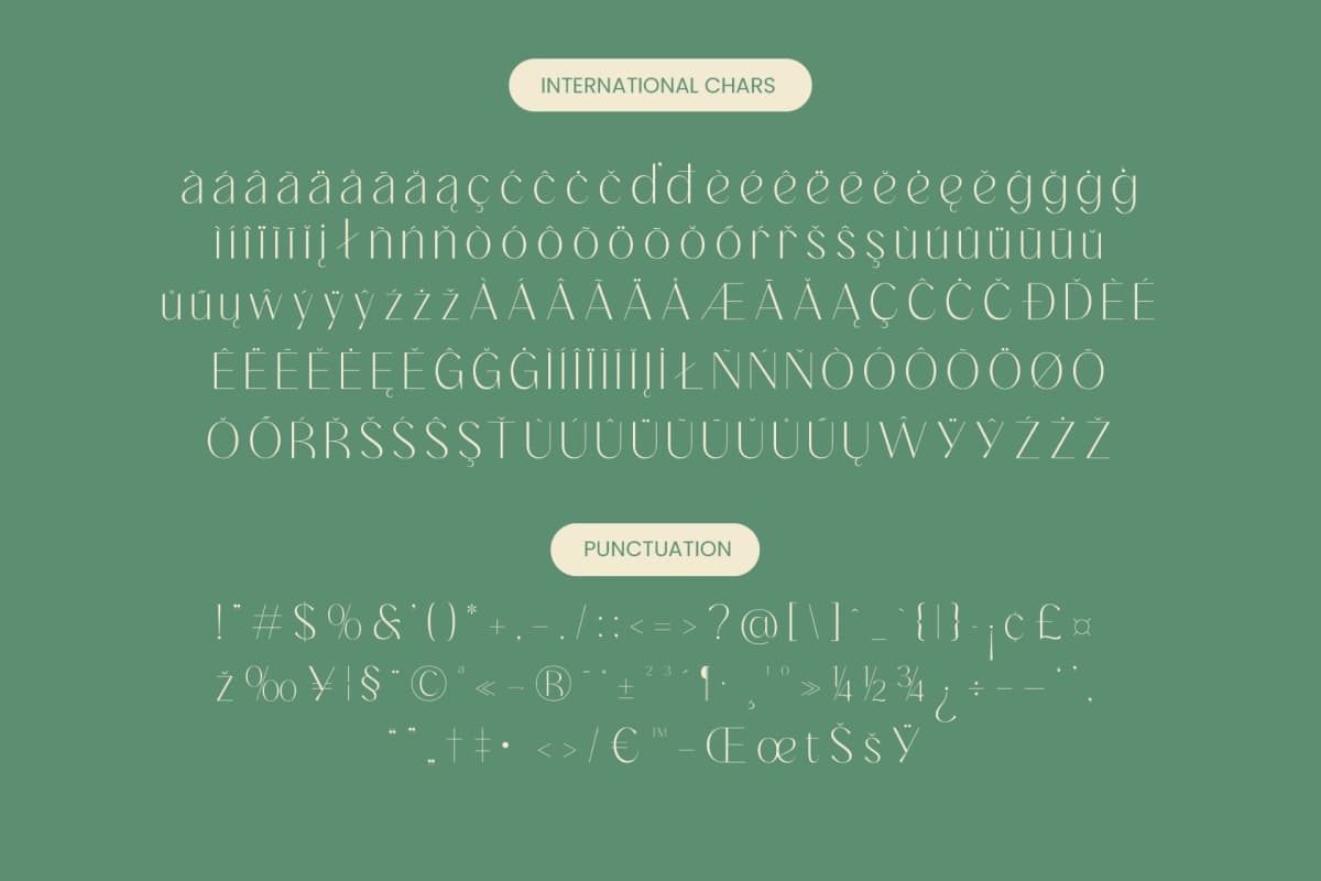 Adisan Richard - Elegant Sans Serif font preview 14
