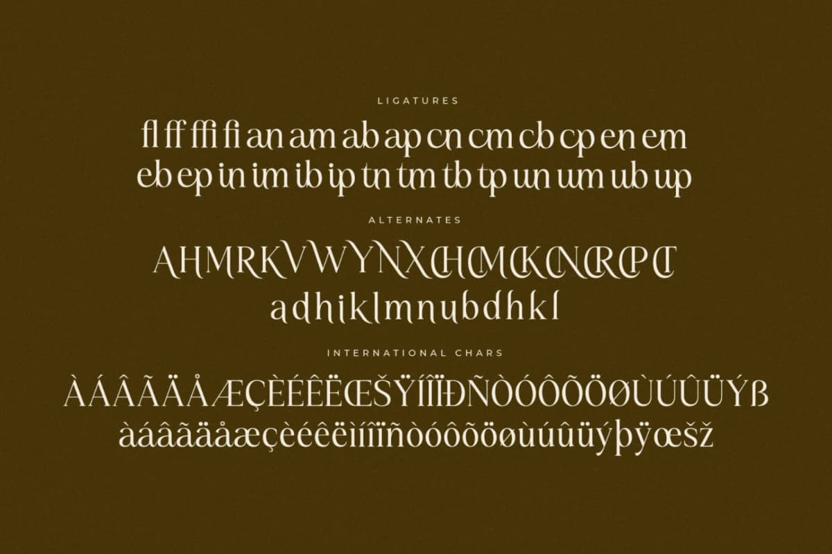 Preview 14 for Kiprhany – Modern Serif Font