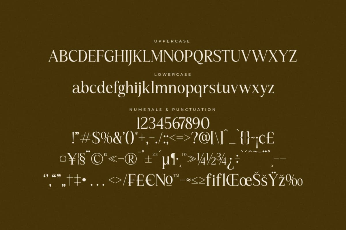 Preview 13 for Kiprhany – Modern Serif Font