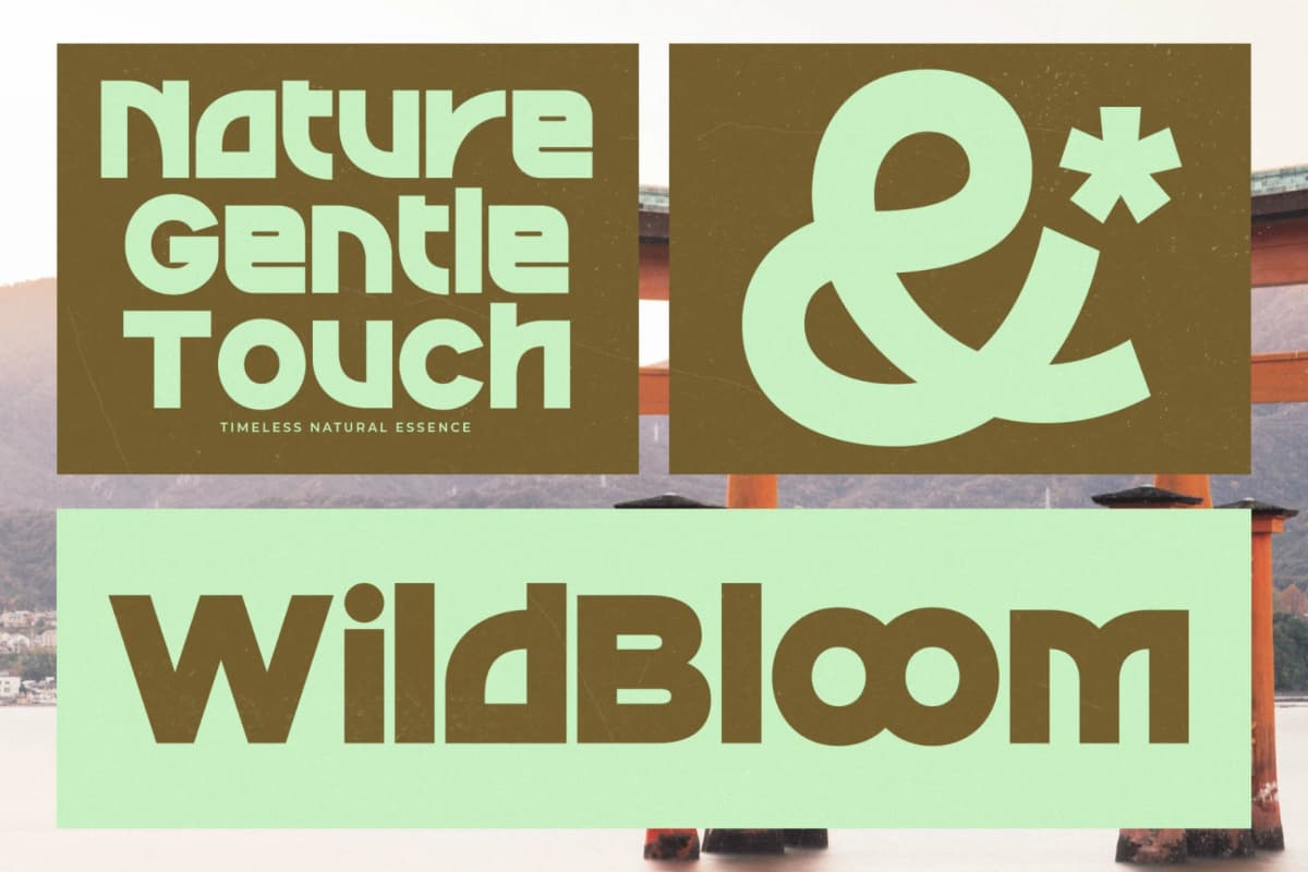 Sound Groove - Display Sans Serif Font font preview 9