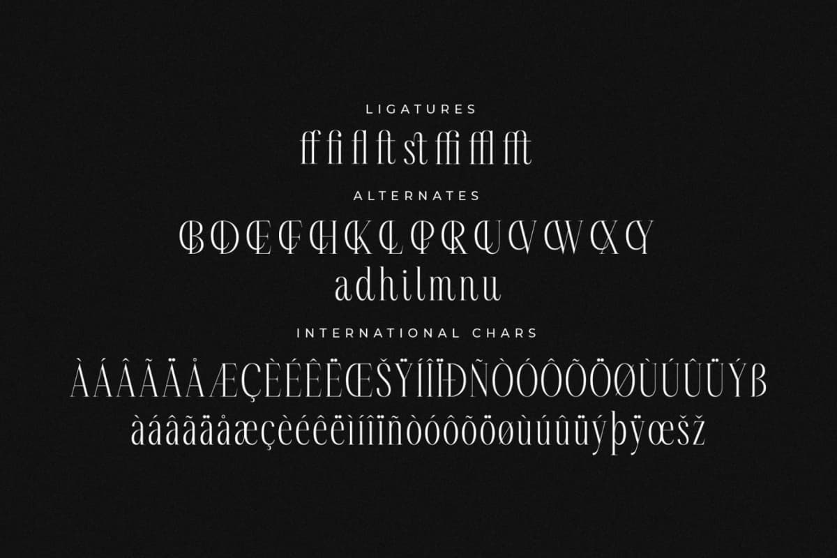 Preview 14 for Rastofi – Modern Ligature Serif