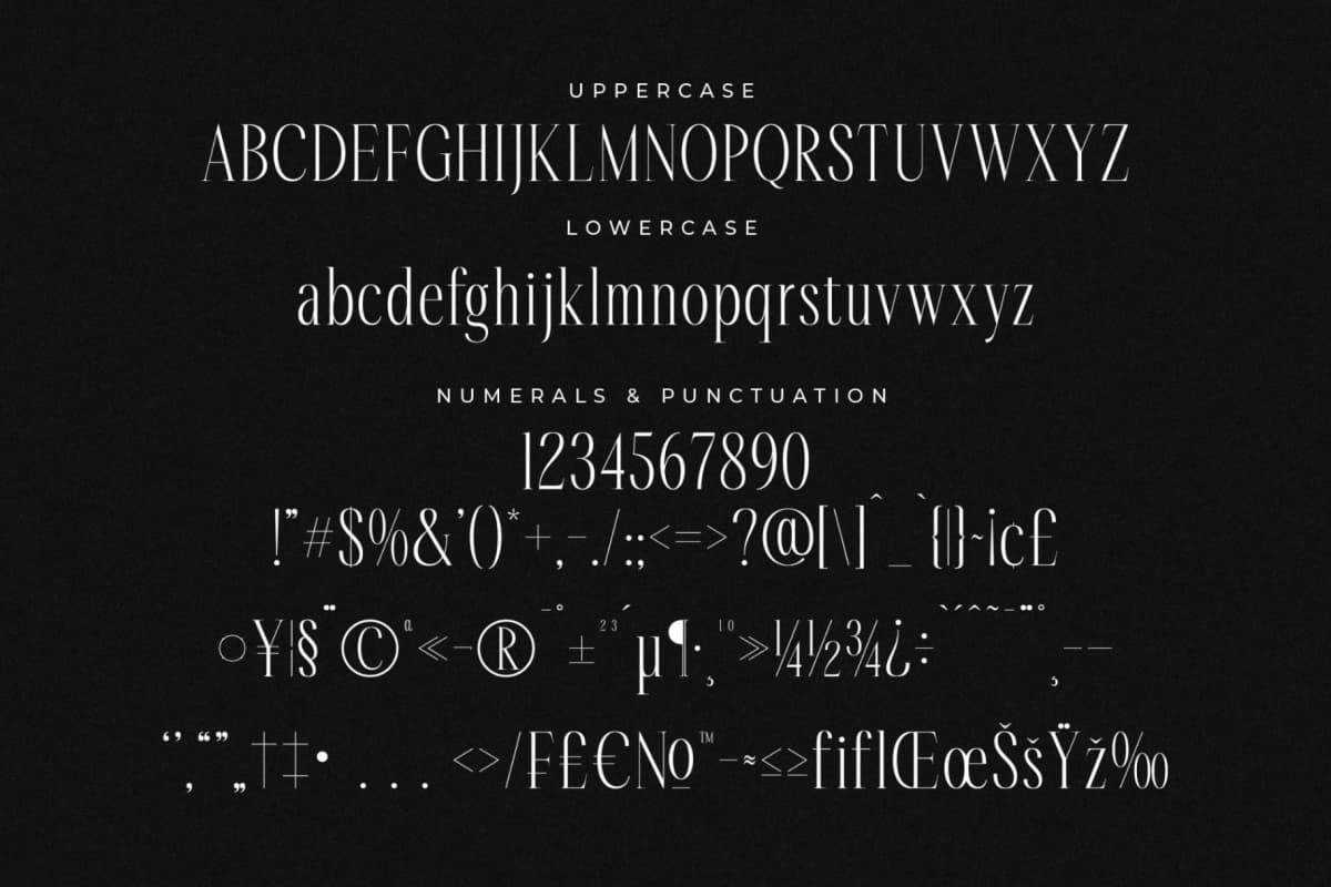 Preview 13 for Rastofi – Modern Ligature Serif