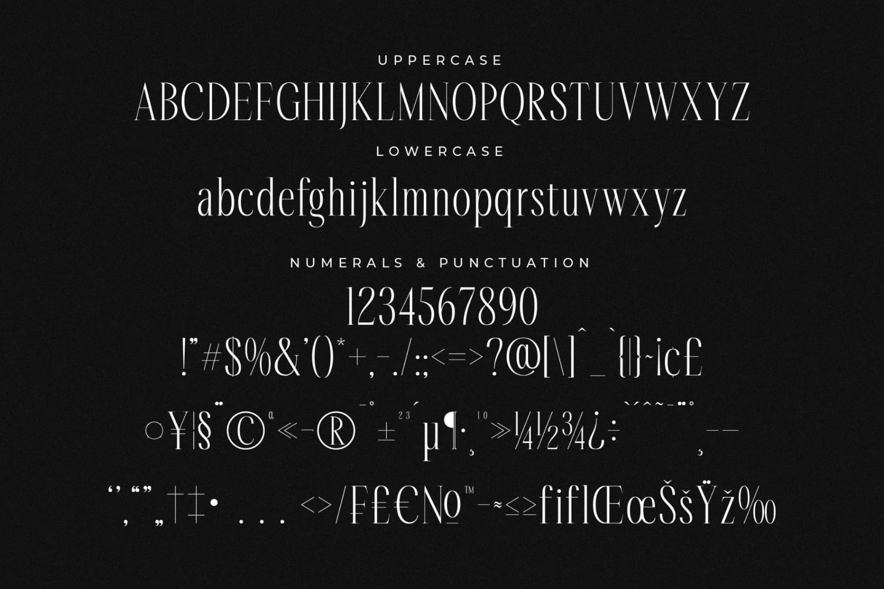 Preview 13 for Rastofi – Modern Ligature Serif