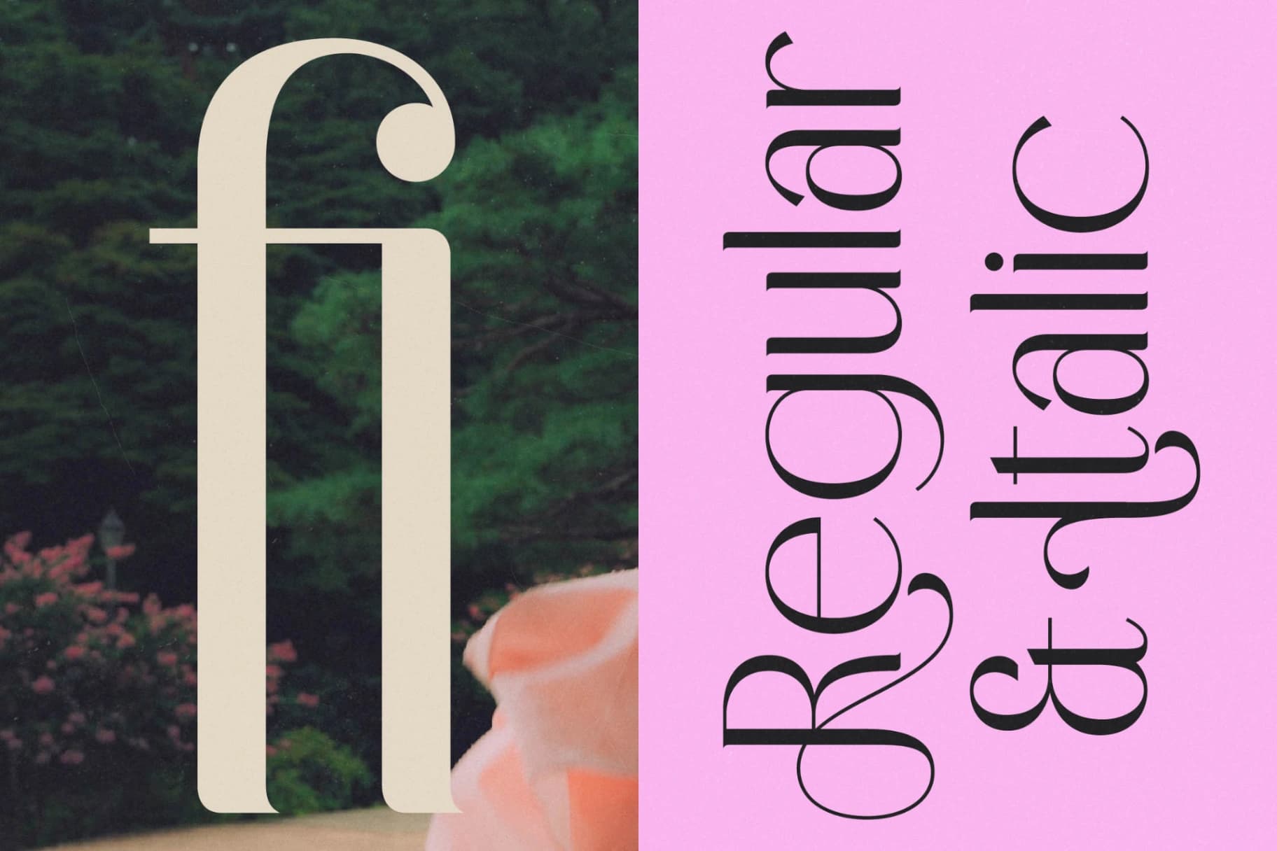 Preview 3 for Medish - Modern Elegant Sans Serif Font