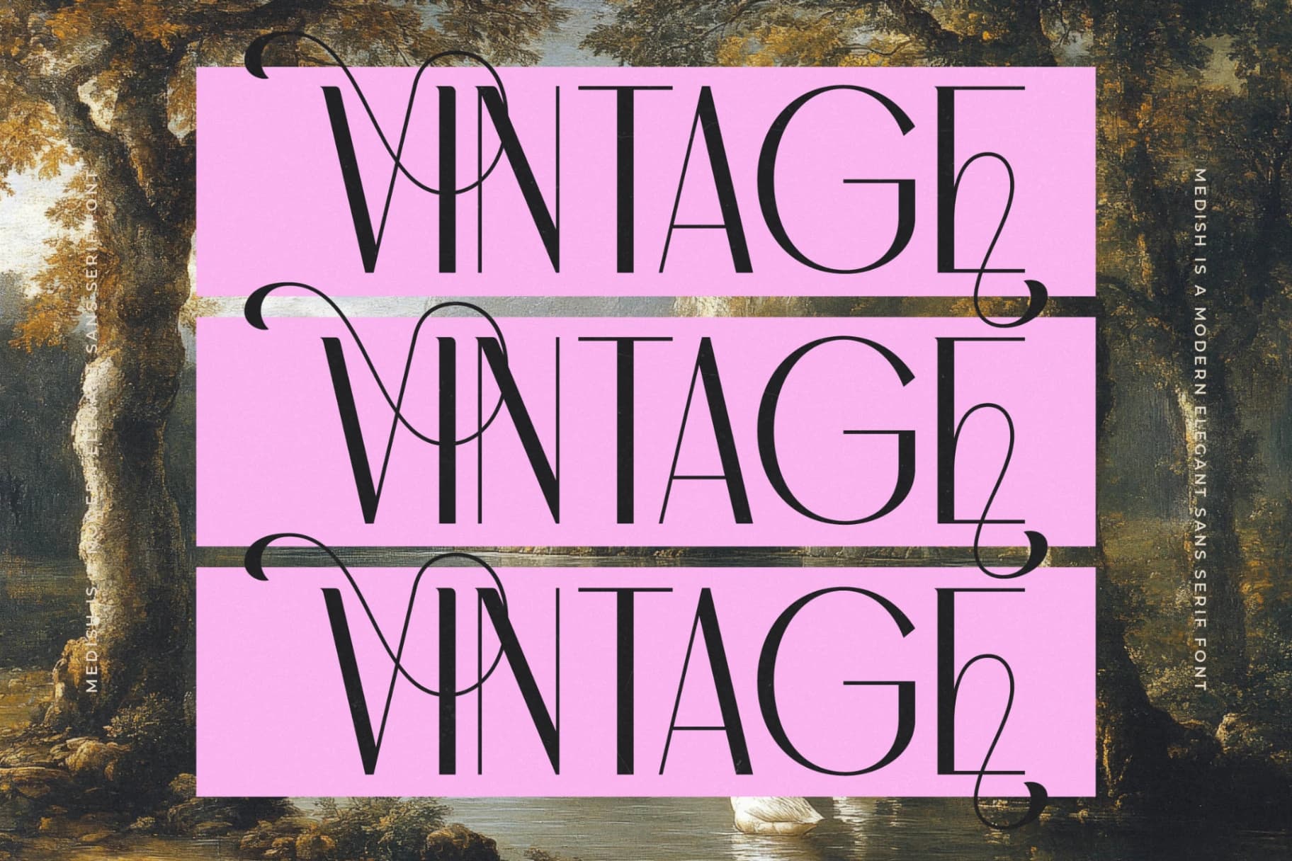 Preview 5 for Medish - Modern Elegant Sans Serif Font