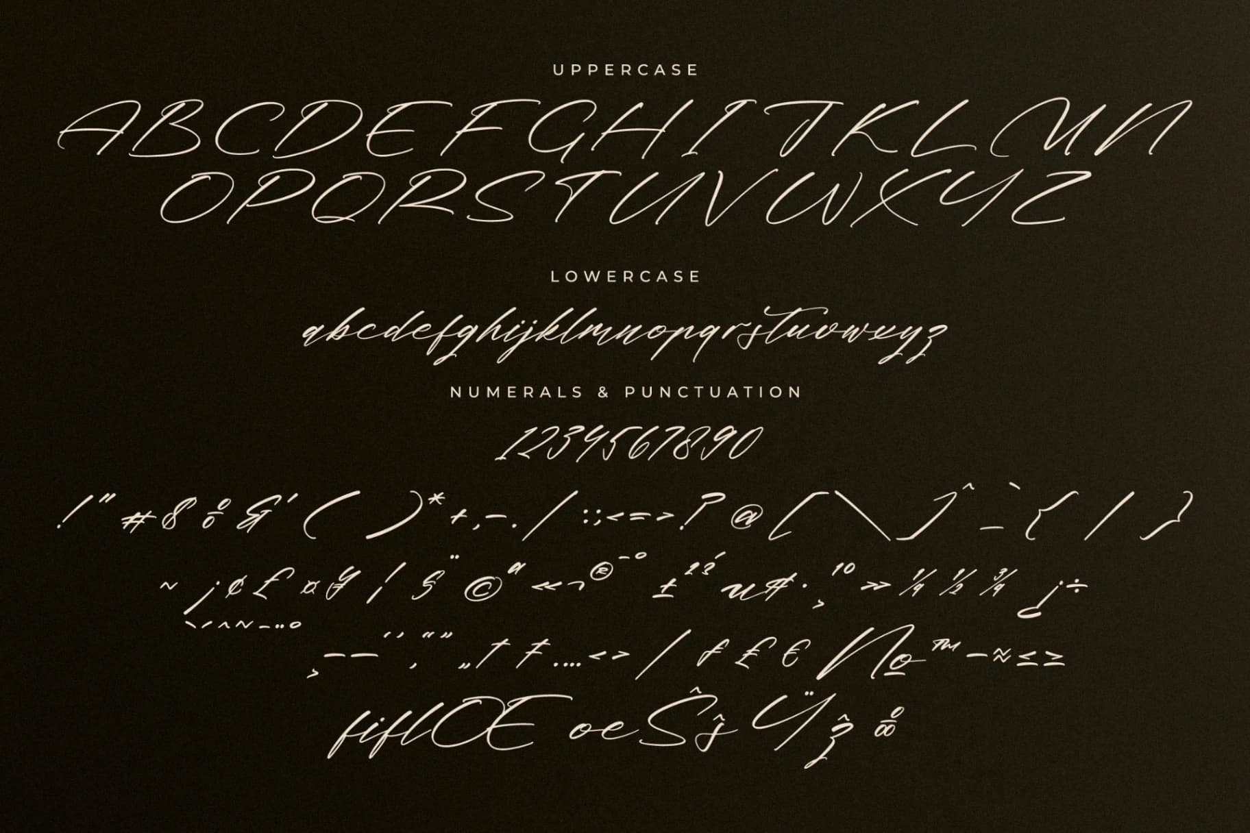 Preview 13 for Midnight Realtime – Modern Calligraphy Script