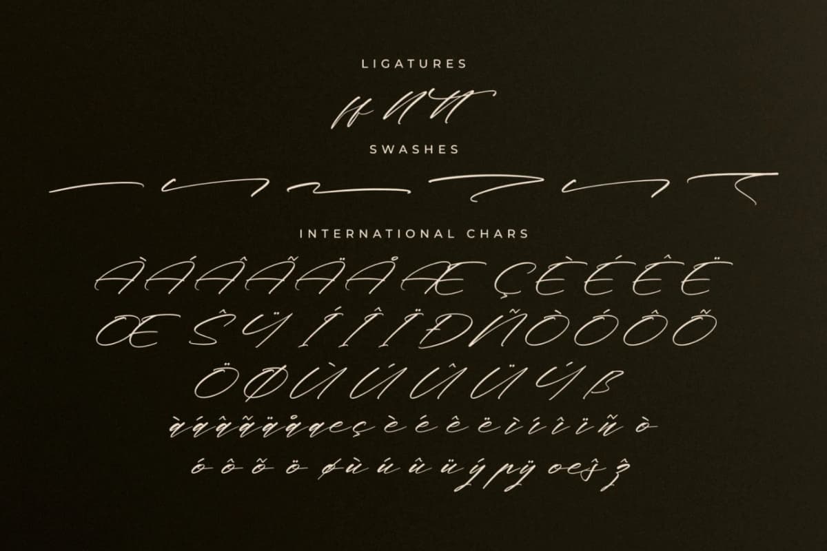 Preview 14 for Midnight Realtime – Modern Calligraphy Script