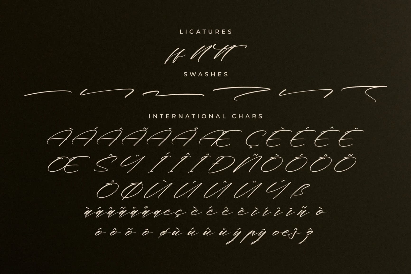 Preview 14 for Midnight Realtime – Modern Calligraphy Script