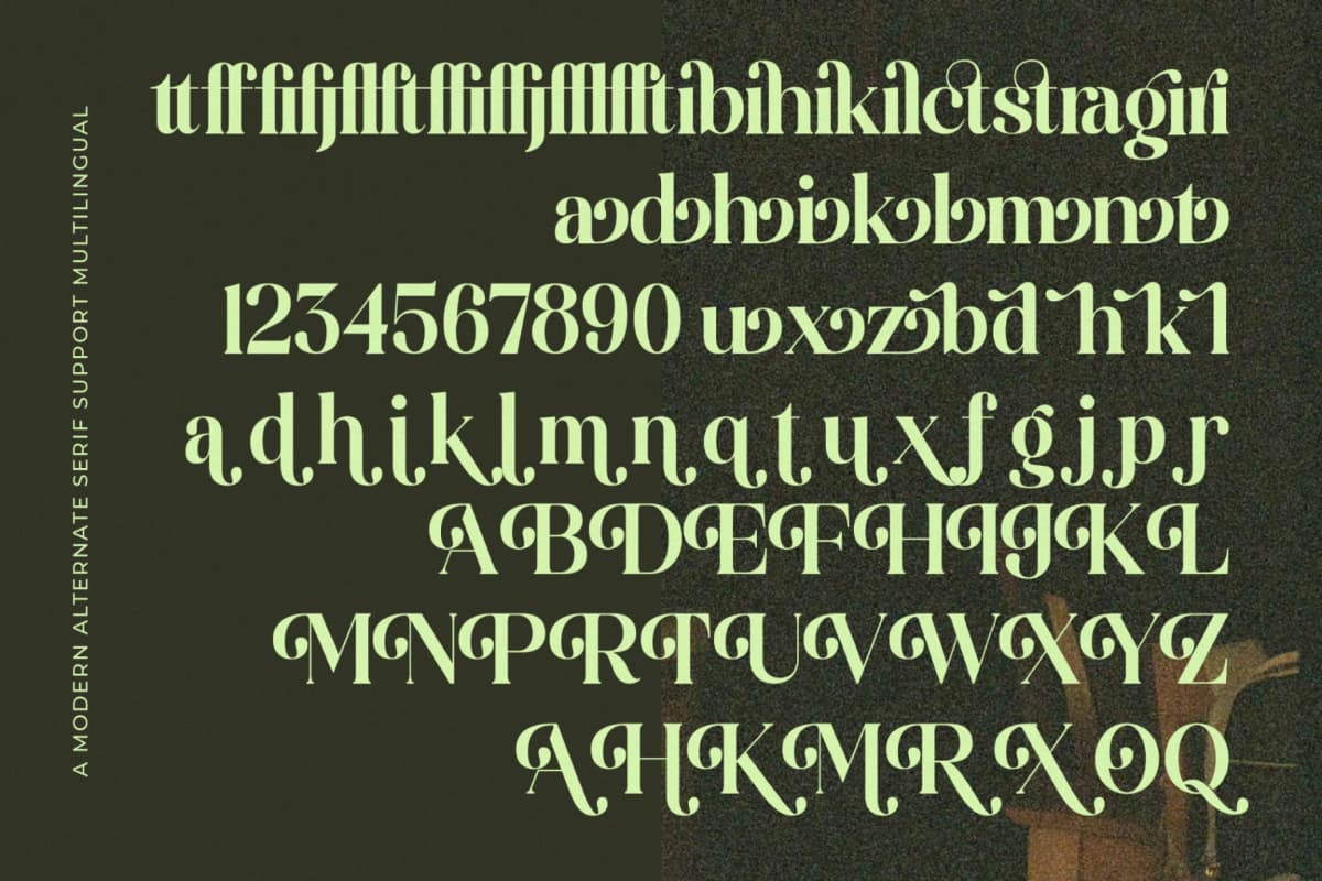 Funky Nights Vintage - Modern Alternate Serif font preview 15