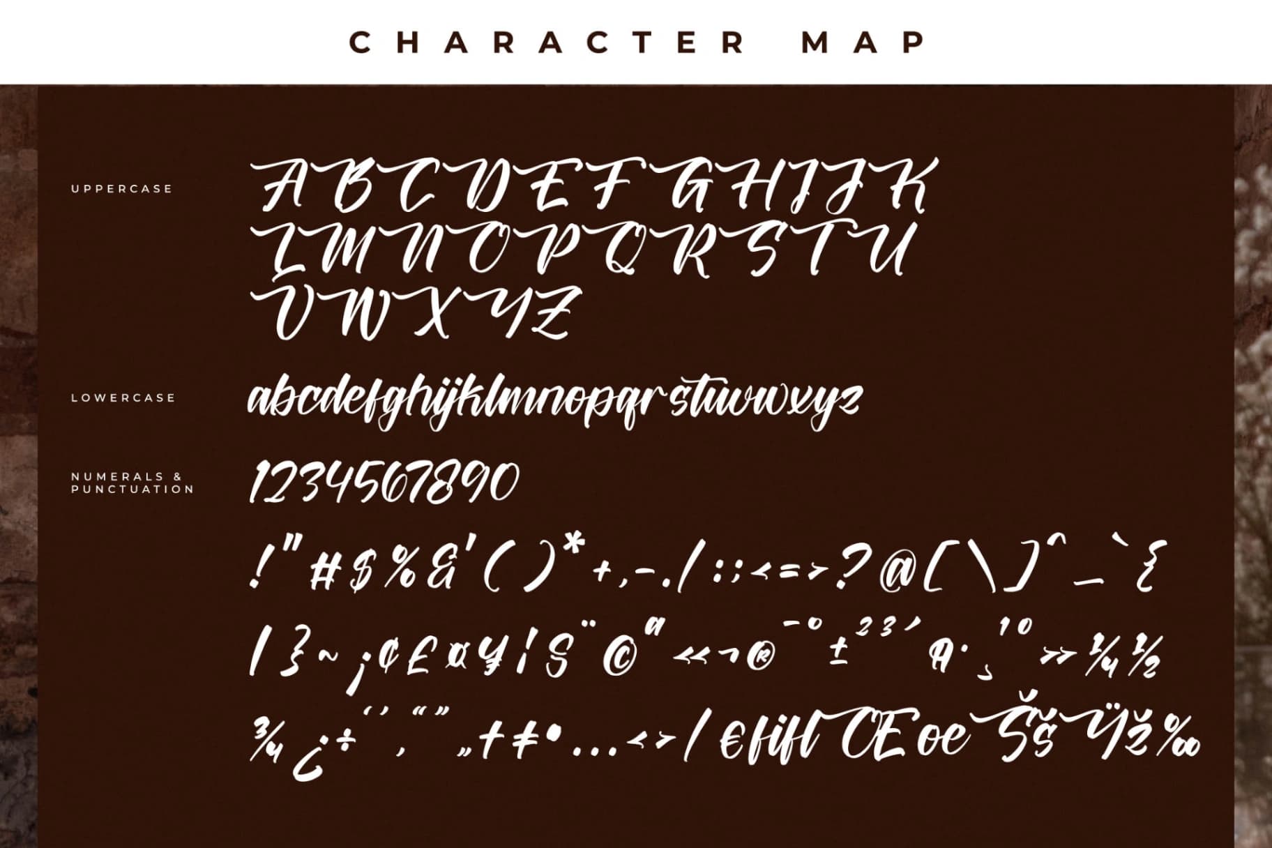 Preview 13 for Battrich Delighta – Handwritten Script Font