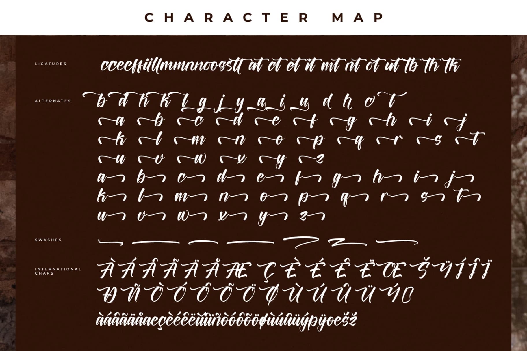 Preview 14 for Battrich Delighta – Handwritten Script Font