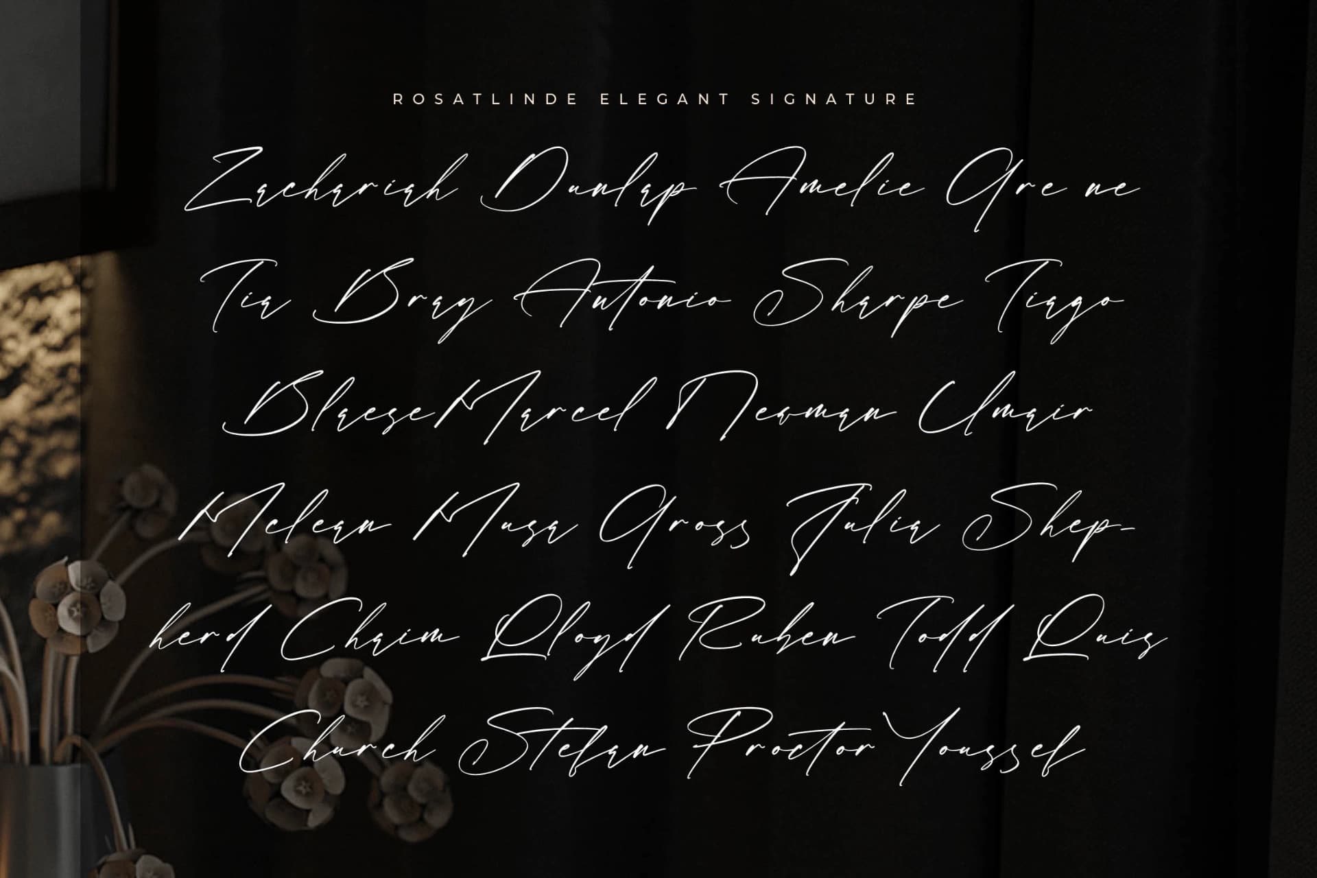 Preview 9 for Rosatlinde – Elegant Signature Script